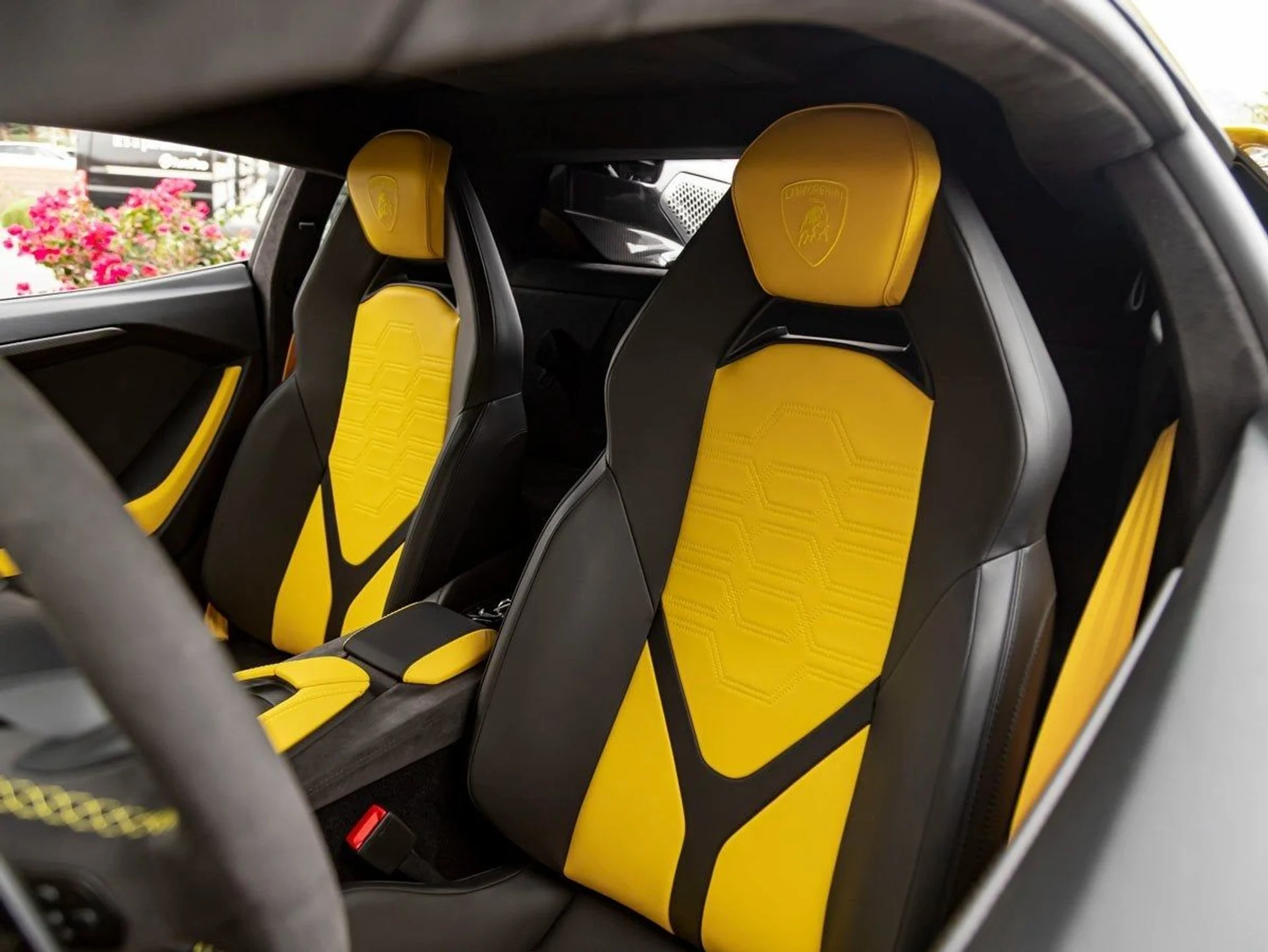 mph011_3736099431_12_d09daf088c