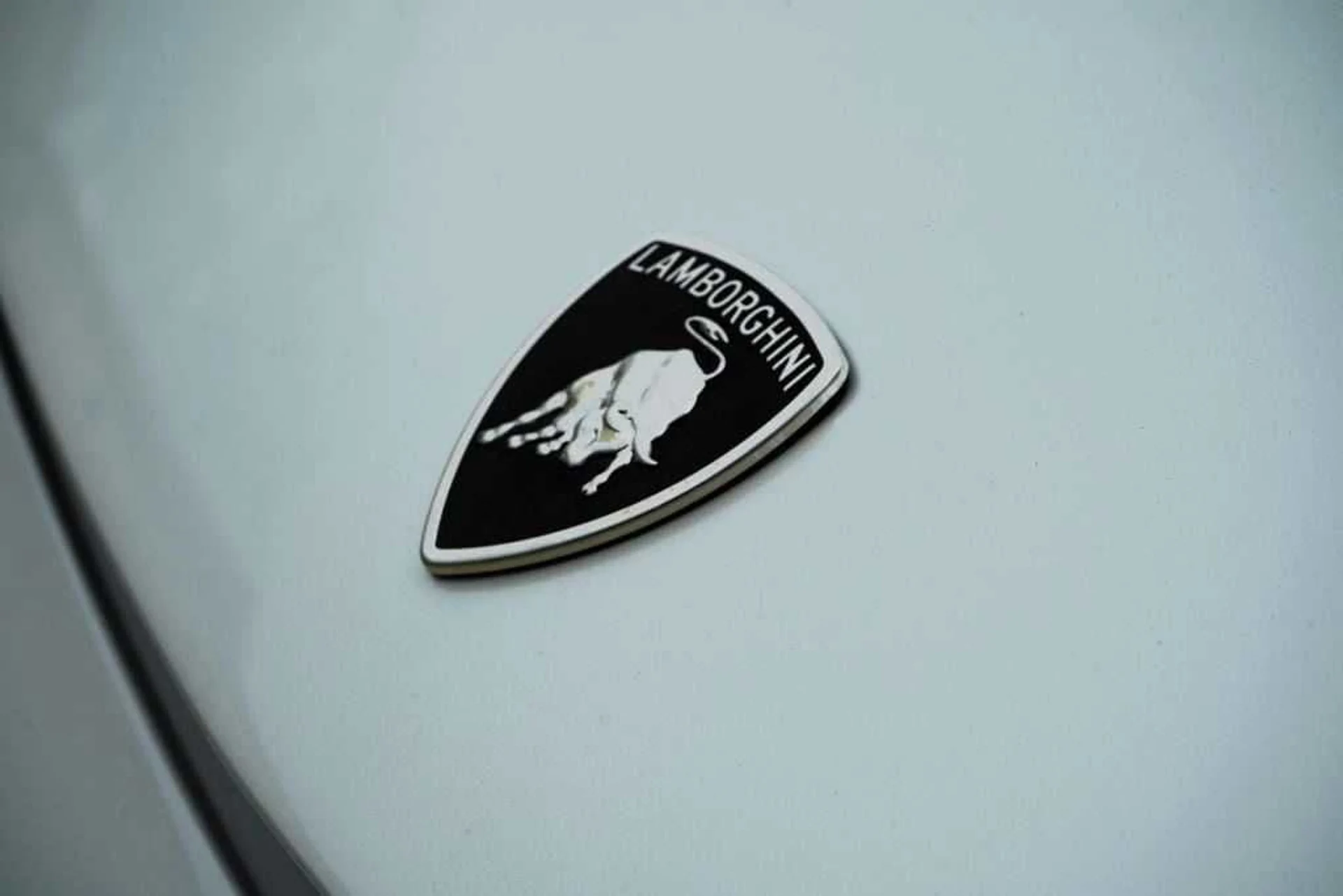 mph011_3775834552_a6393b85889ff8310235c5a0c99317b9x_d480056387