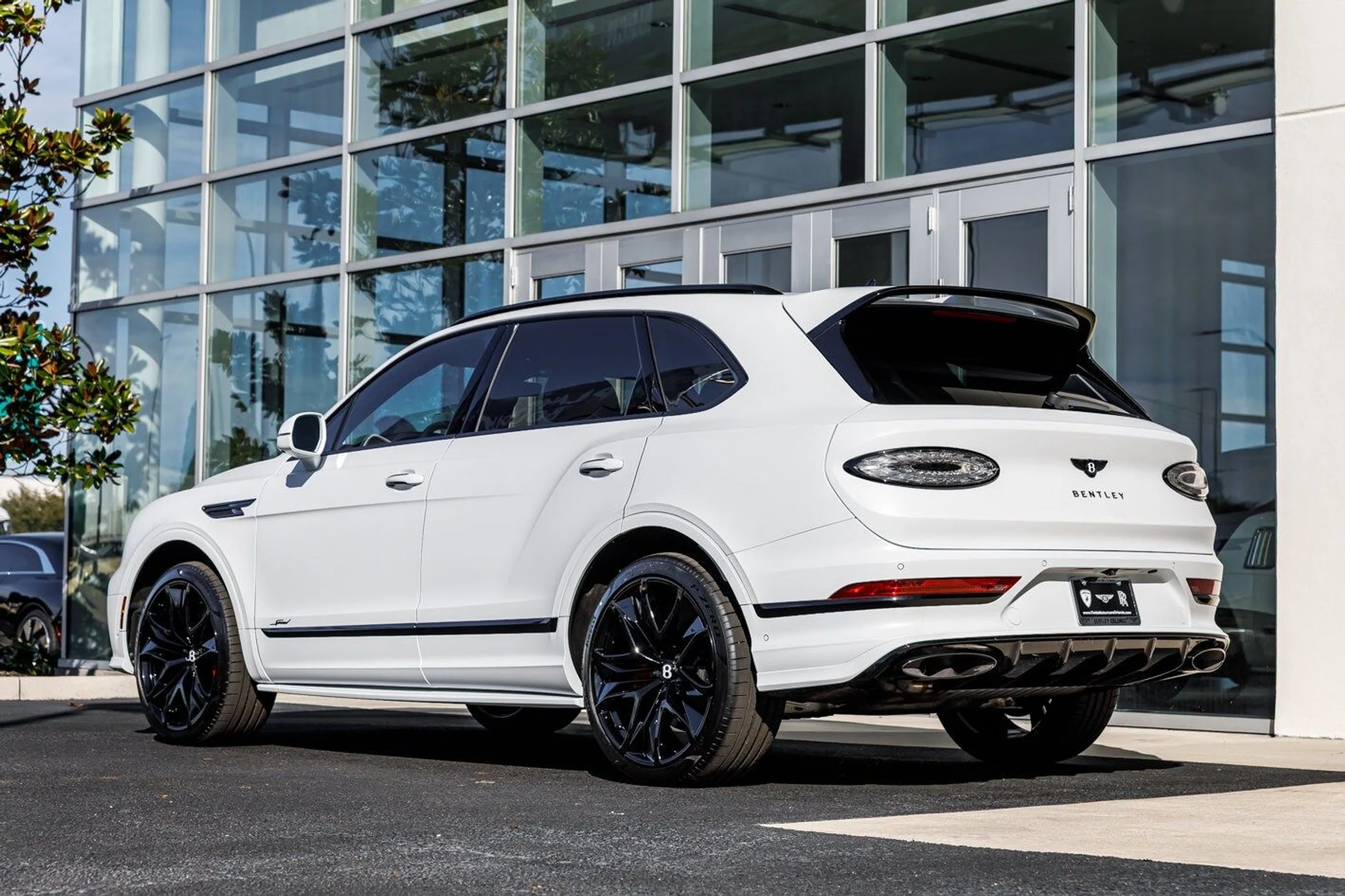 mph011_3838865667_41d5a6bca91f4c35539f29c5956809d8x_d1f55d4a05