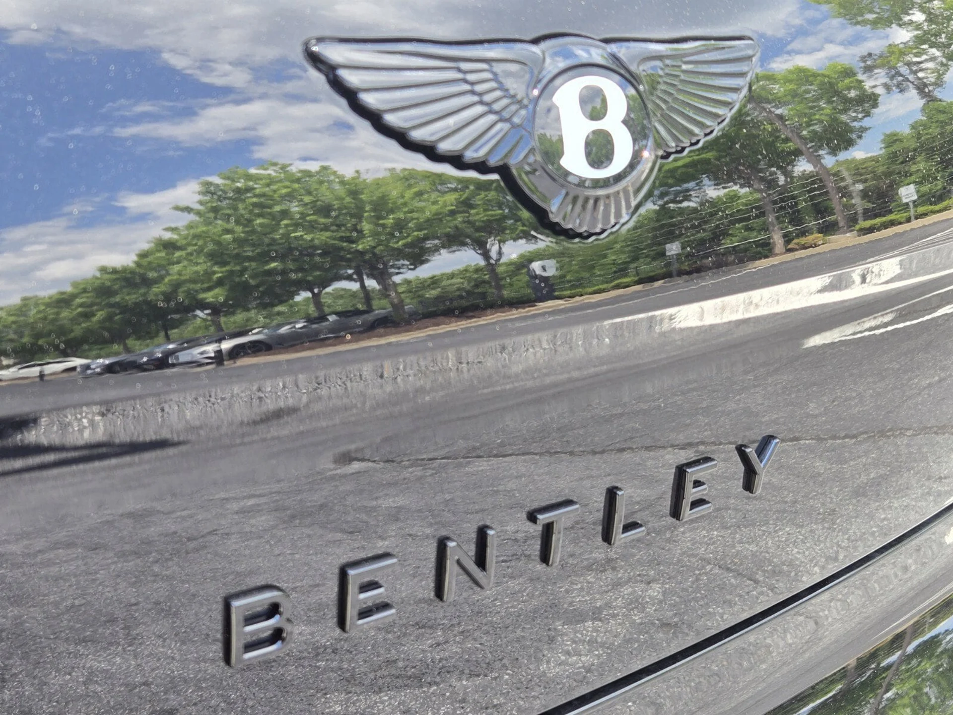 mph011_3906679784_8d7156117afbf8d980de21a87232d6cfx_44ced1f56f