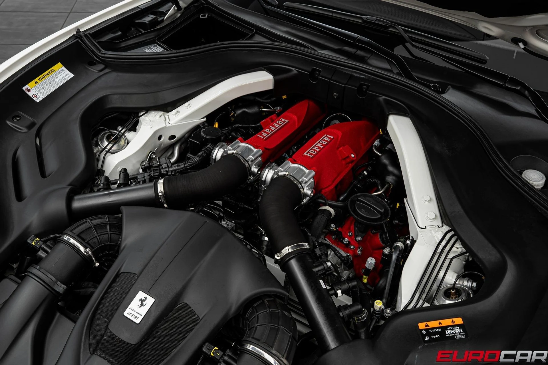 mph011_3947270676_image_12_70c2c54daa