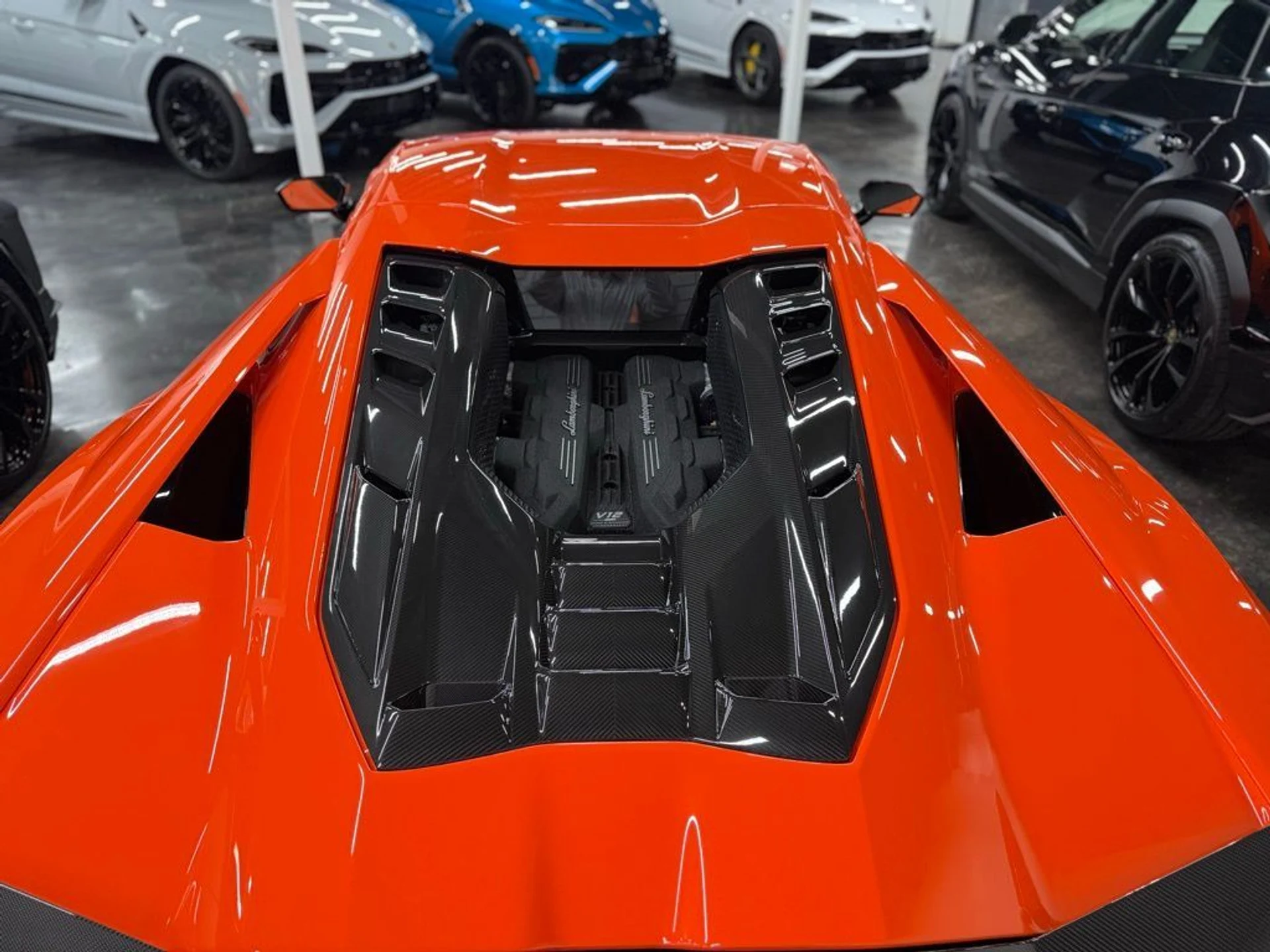 mph011_397807302_88238184ad7cc3f6a82aca932f937723x_a7f219beec