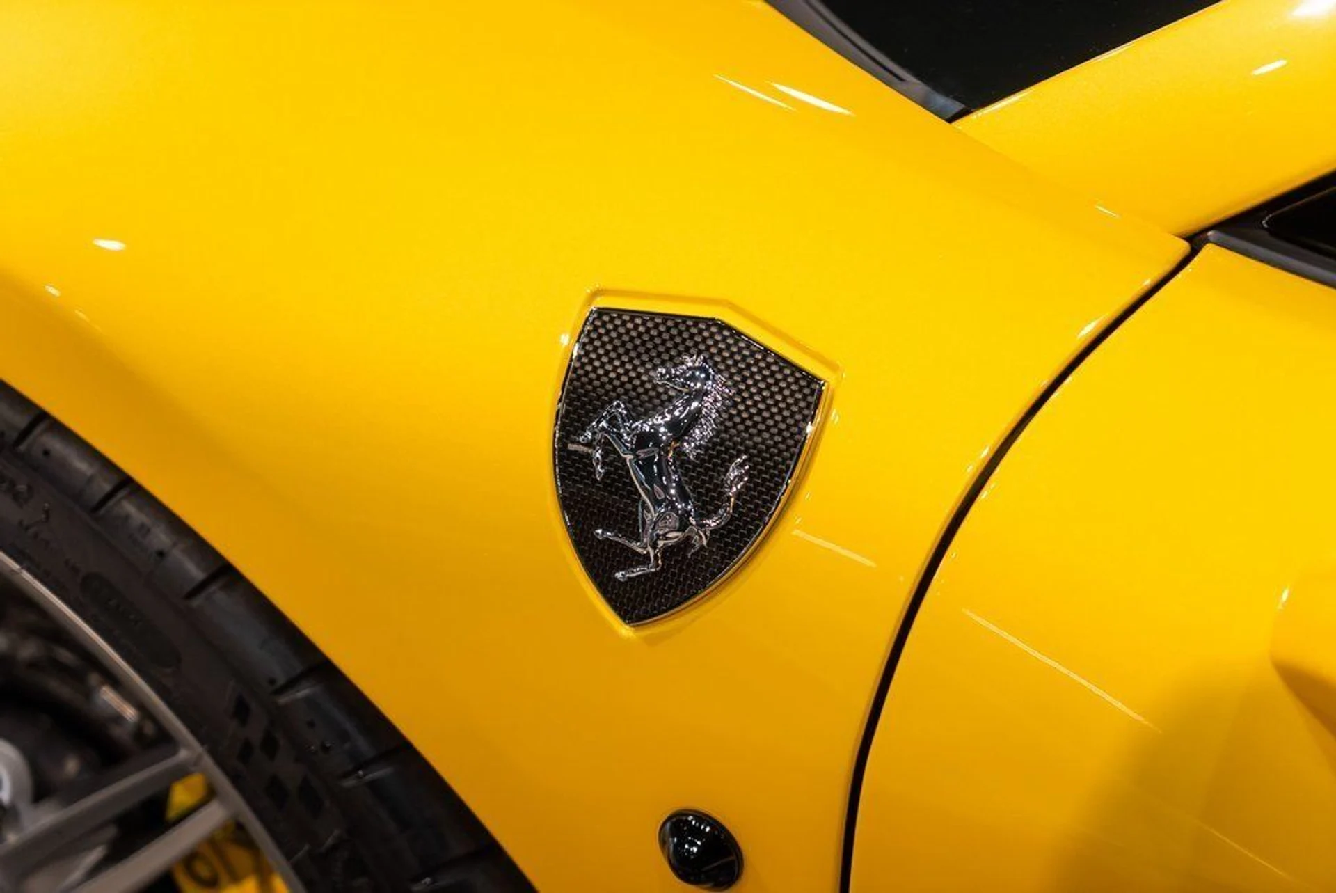 mph011_4023285241_d49e9853c93e47a238bf9473b0f34ae9_d3e9fec02a