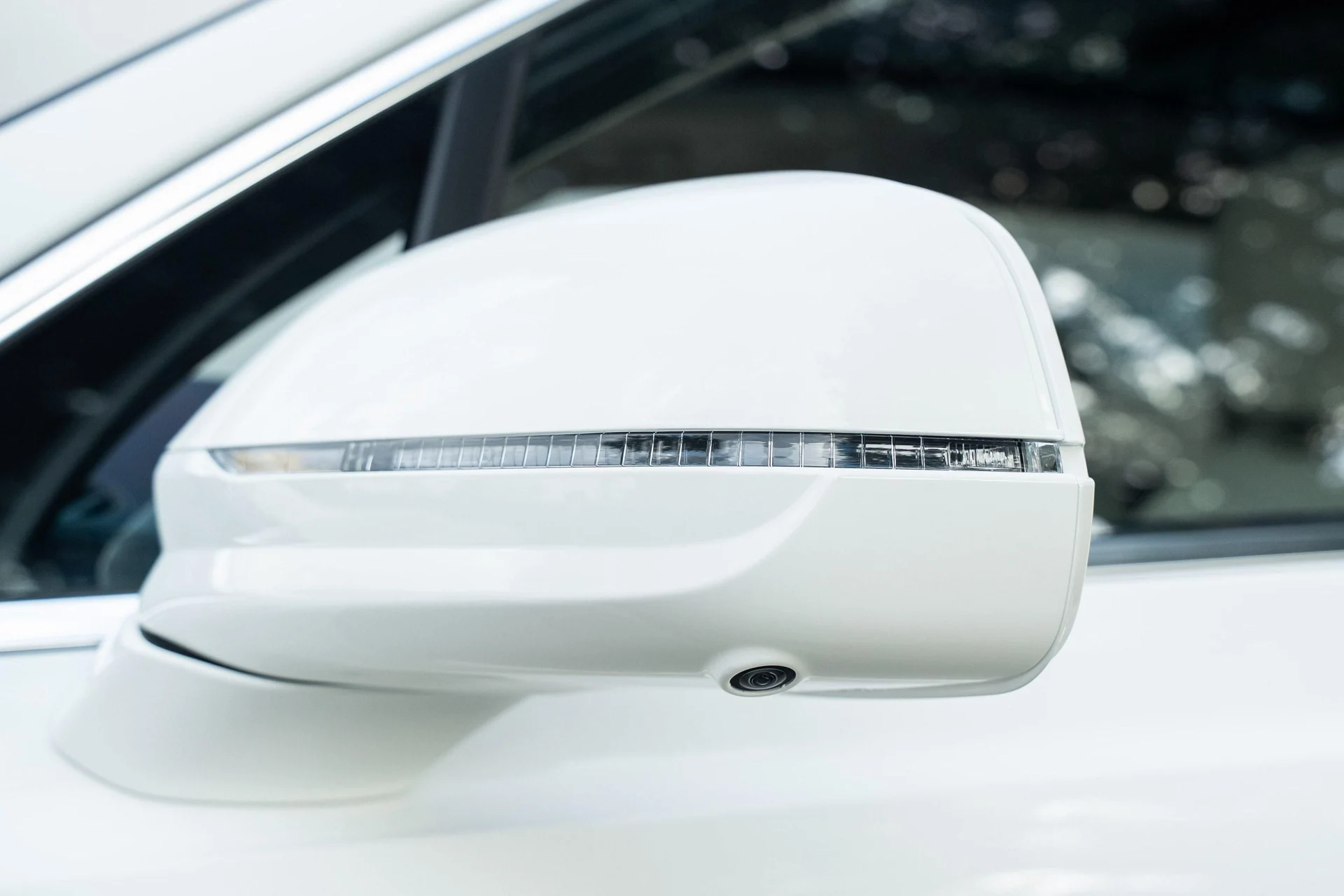 mph011_4036351094_442093803_689aca34b01227cfeeaaee97_6c5757f9cc