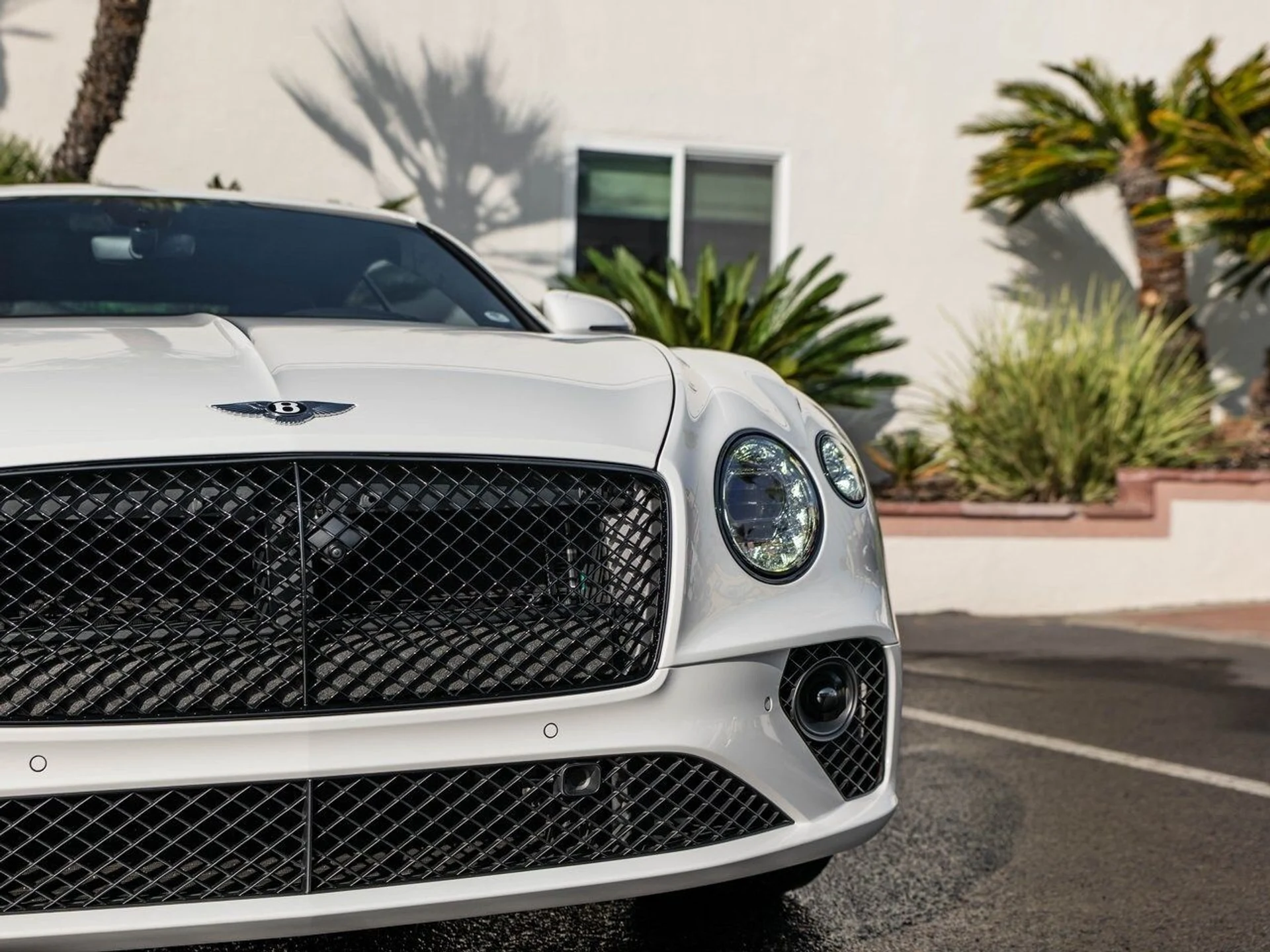 mph011_4055649368_ad4c657d5cf1281f4c41eb8b8810708ax_8563118705