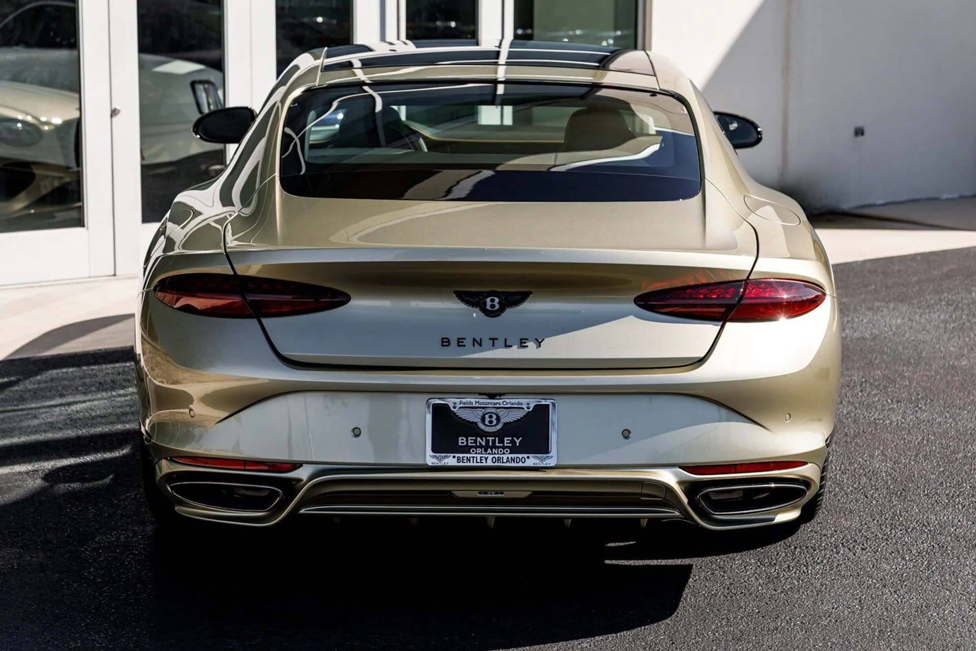 mph011_4112924675_a7dcd647ecae9f6f8dd7e0ca40f44b81x_0d0f9240a6