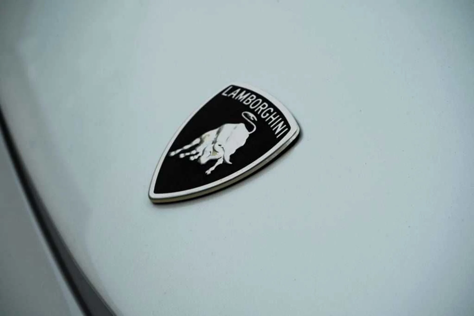 mph011_4150029524_ojtyymr6i65yikz0ze3sig8fu7p6_d6138b537c