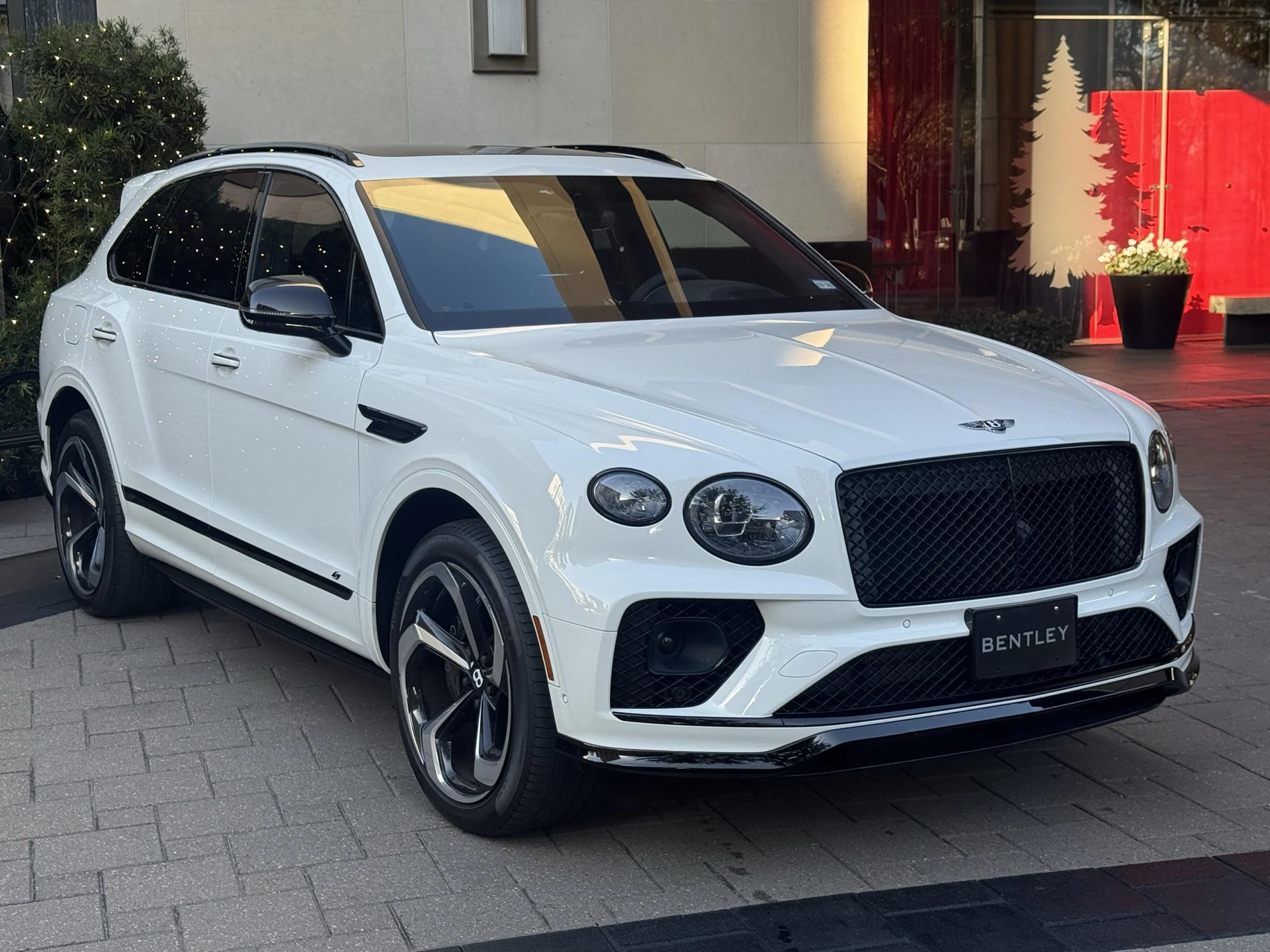 mph011_4179289287_480885681_693c5114b117e32501ac05bd_62df8ad236