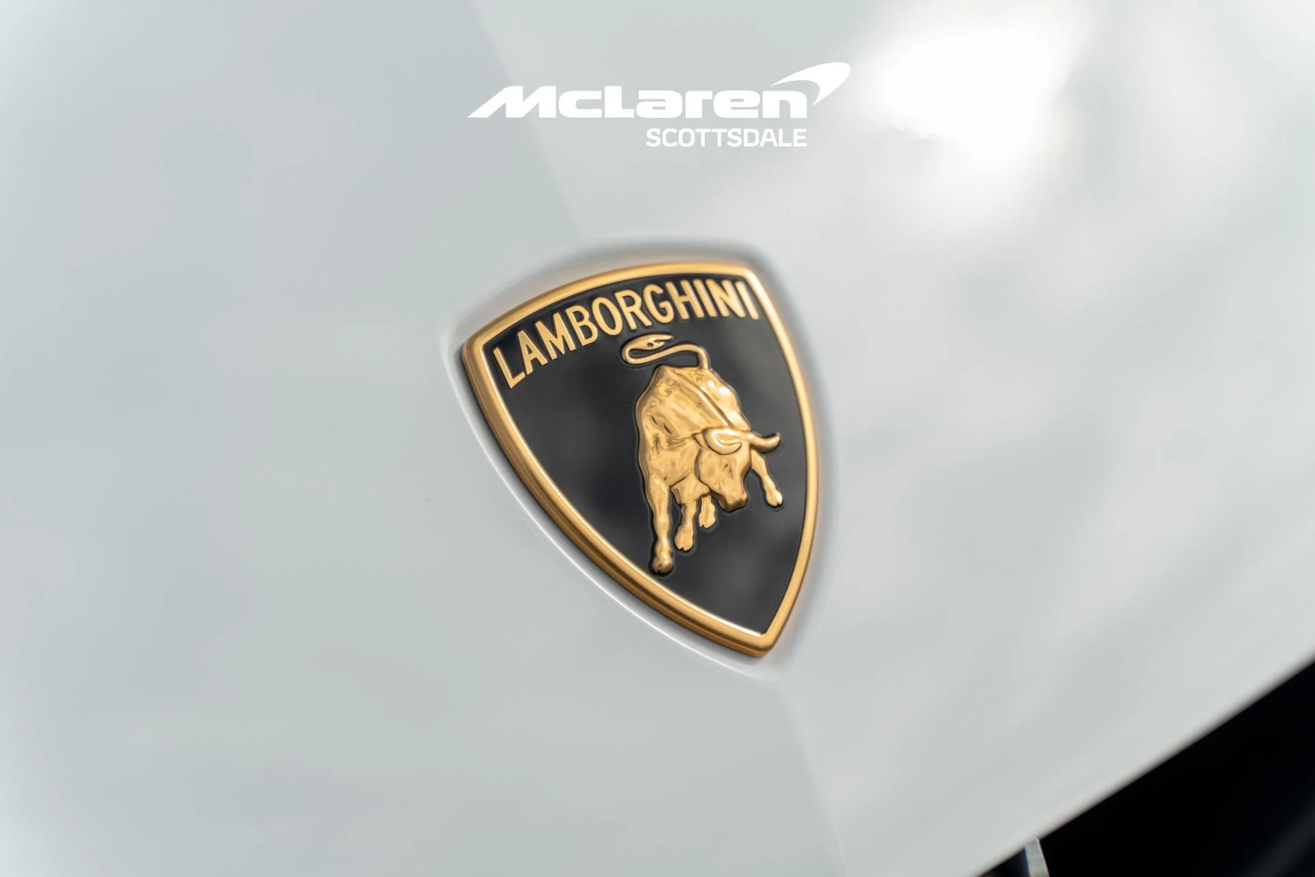 mph011_4182542429_Used_2025_LAMBORGHINI_URUS_SE_1758292772_90818a56c9