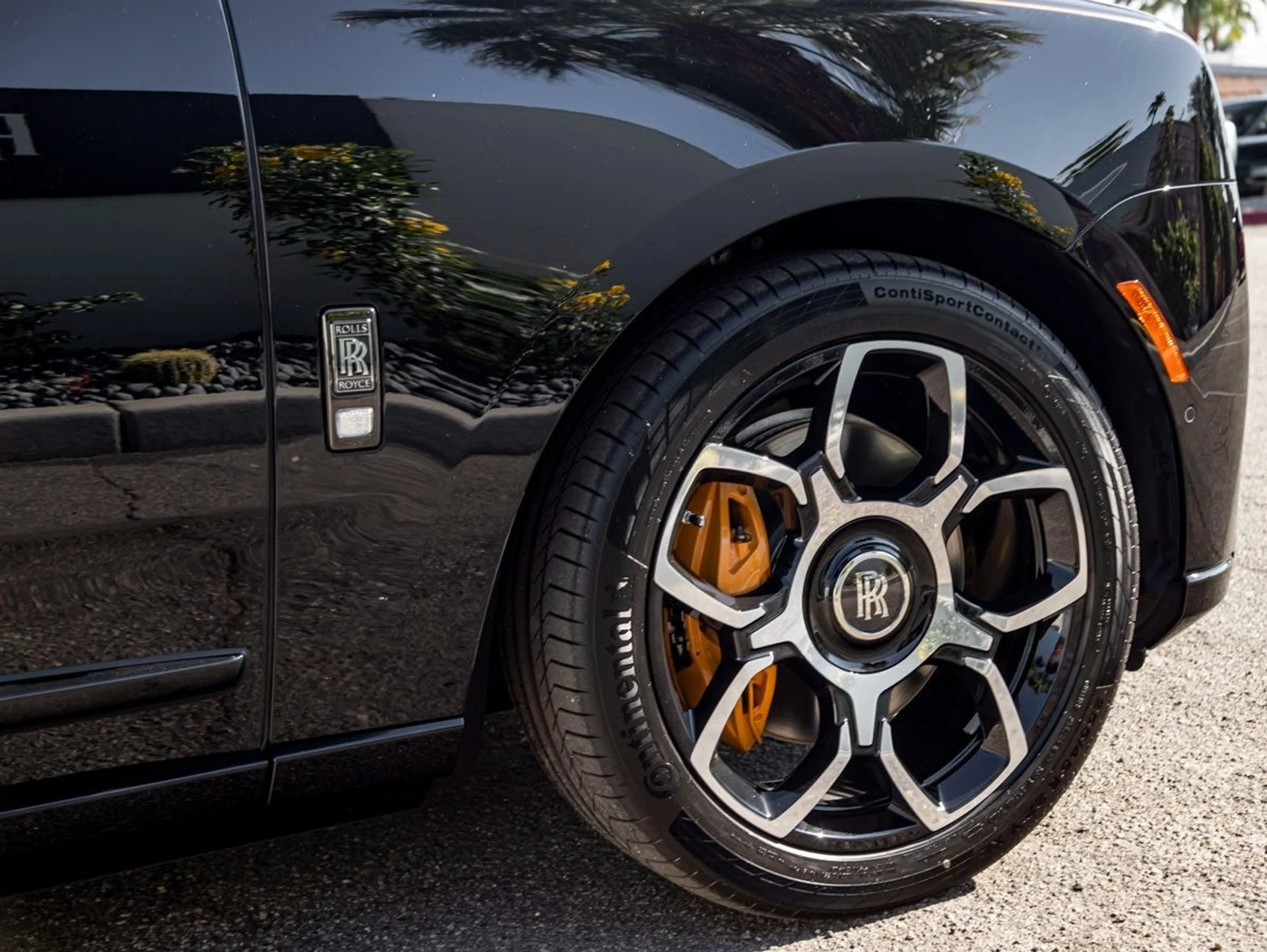 mph011_4185955723_12_ed200d34ca