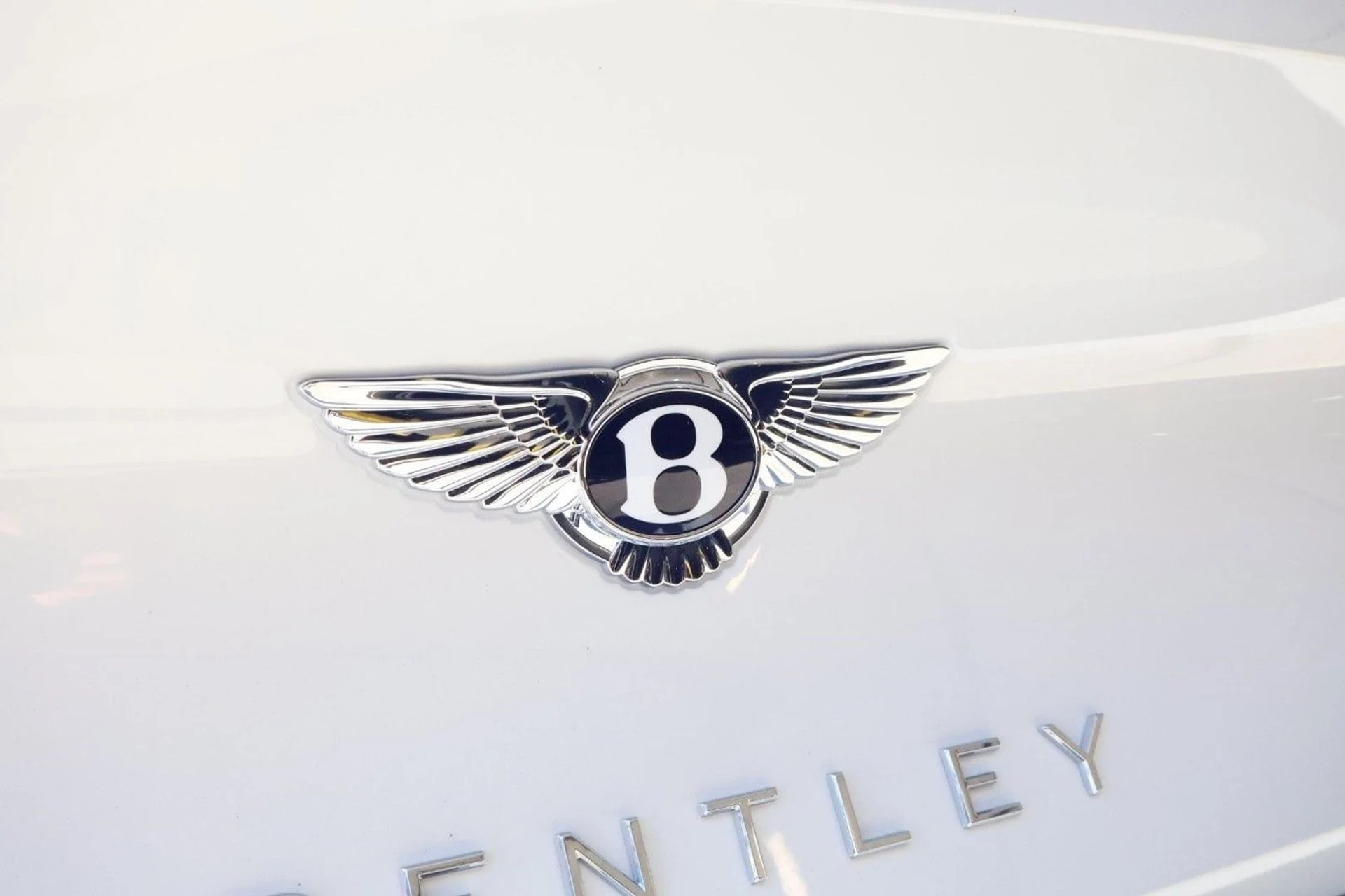 mph011_4204156769_0b63cc5ea2a2fdef627fe14e2fc794fdx_146cbe8e7a