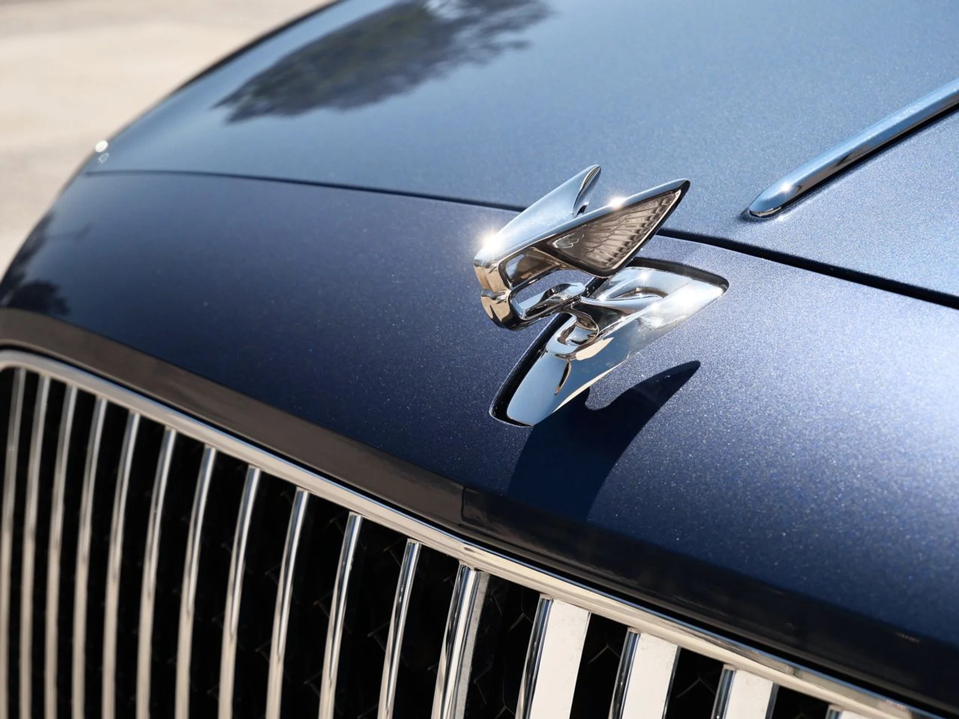 mph011_423112039_abf62abc55410c65c13e52e6a1fcfac8x_417d27f9ad