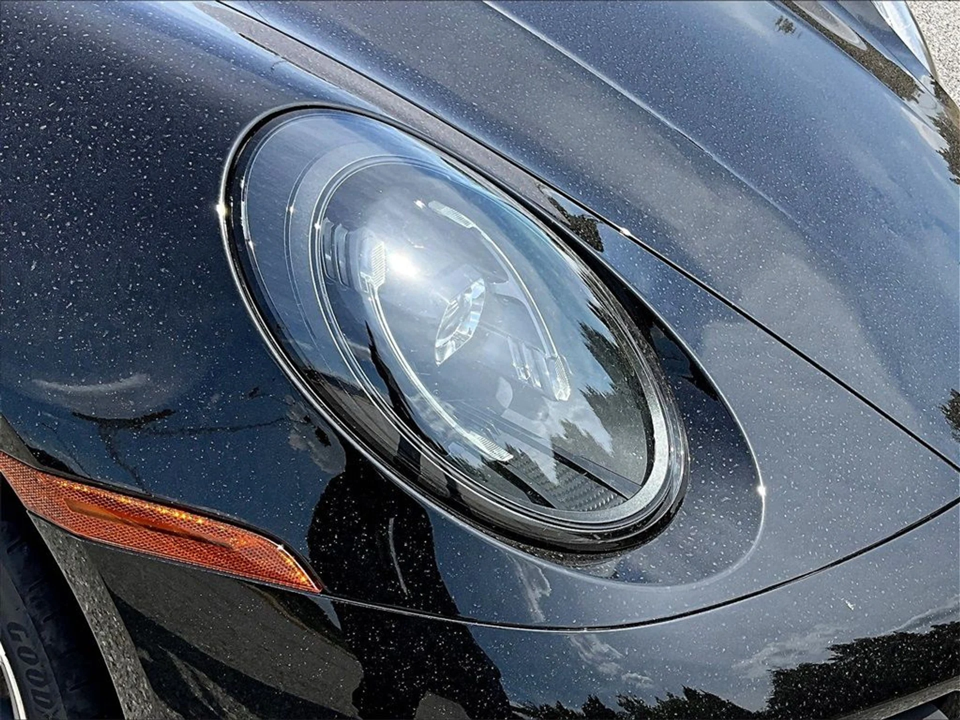 mph011_4266880129_1d06a712784952fde8b895f4c1deef45_252631b850