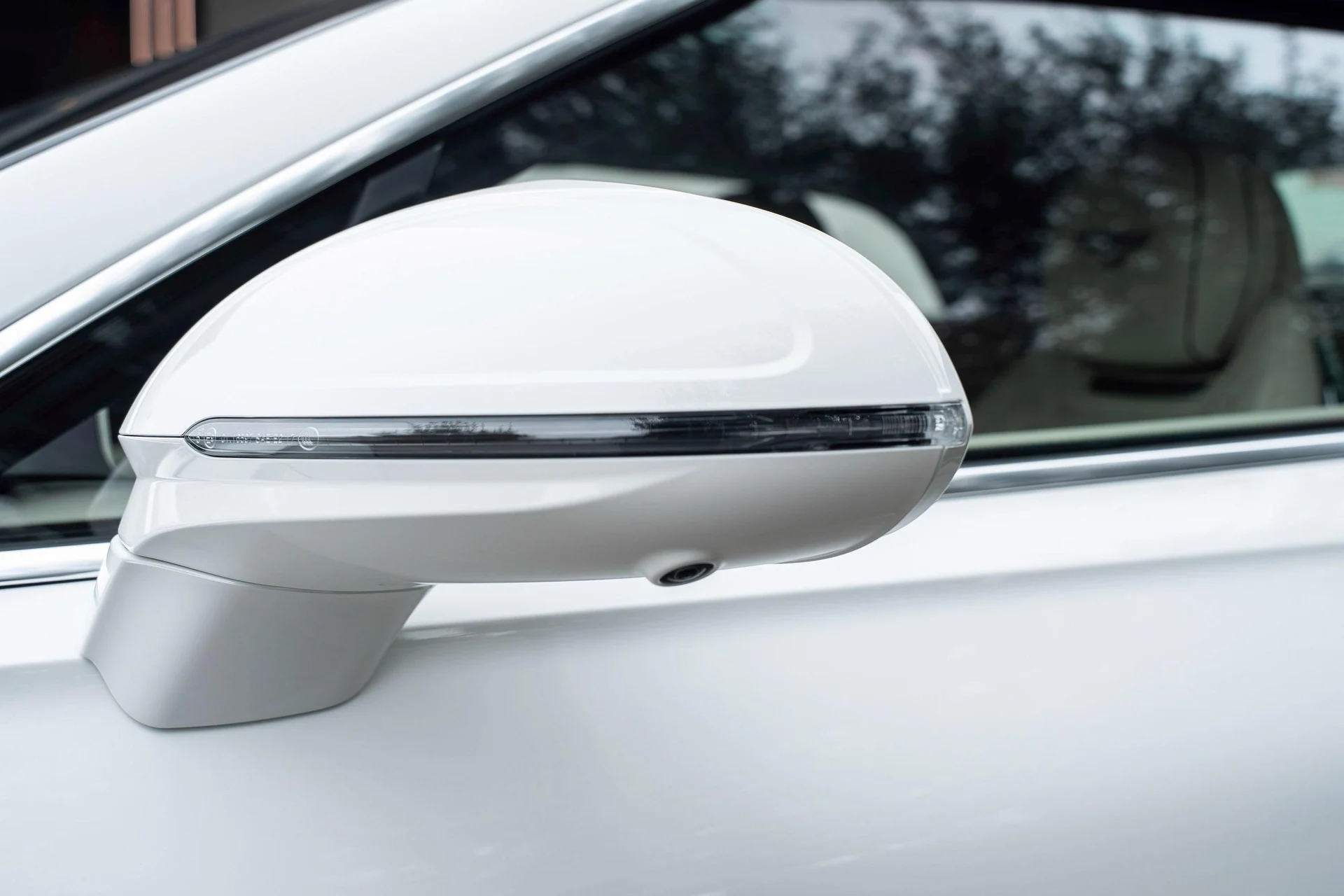 mph011_477111451_470961996_69312a44437575d81983740b_3647d80513