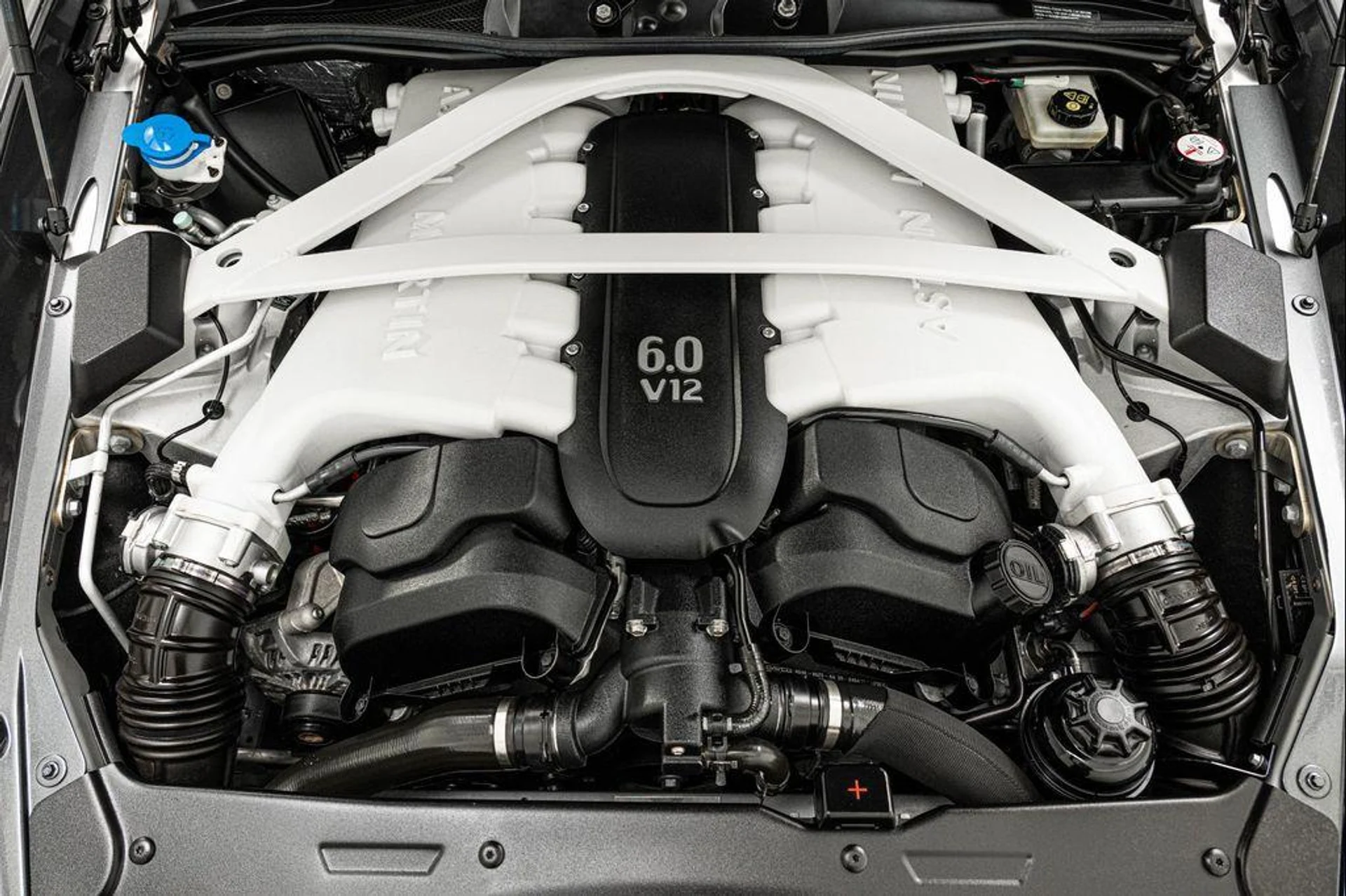 mph011_489268532_N_Tmk1_LAZ_Tmx_Ti1z_J_Gxp_MJVVOR_Js_1c6dc553db