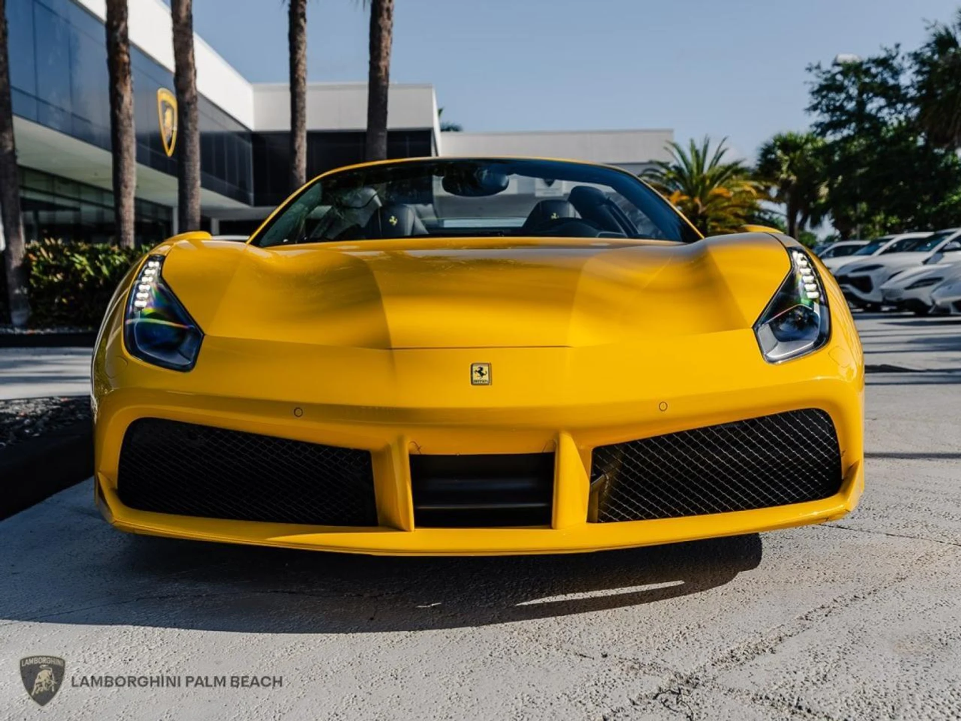 mph011_542138531_008f1a0dfd7f6e07ebf3323a1010052a_5c0f6705fa