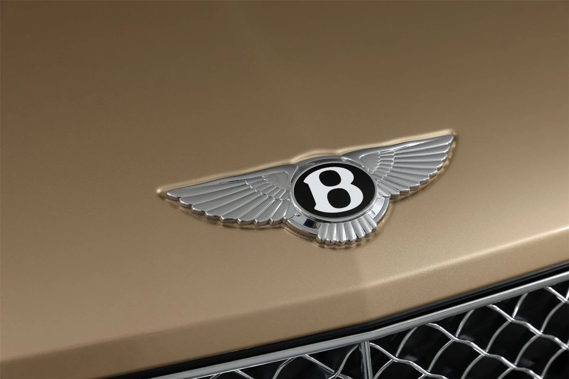 mph011_766797067_1cf93ab9189fc460fb1f1ad9187283f3_f73f23ceae