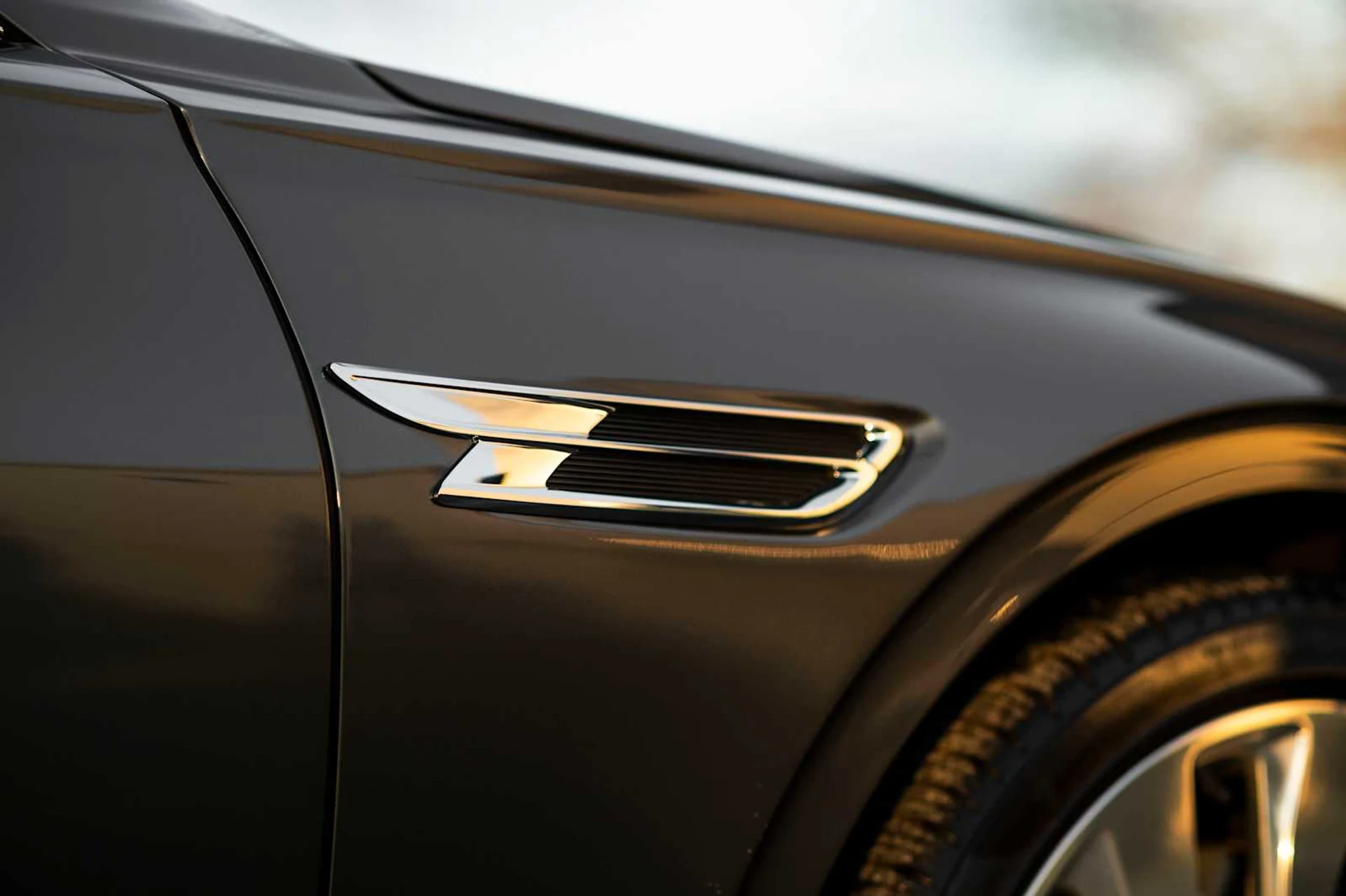 mph011_803989700_d173b87373ee73b5b5e5a6663b167f59x_9dd4907ab2