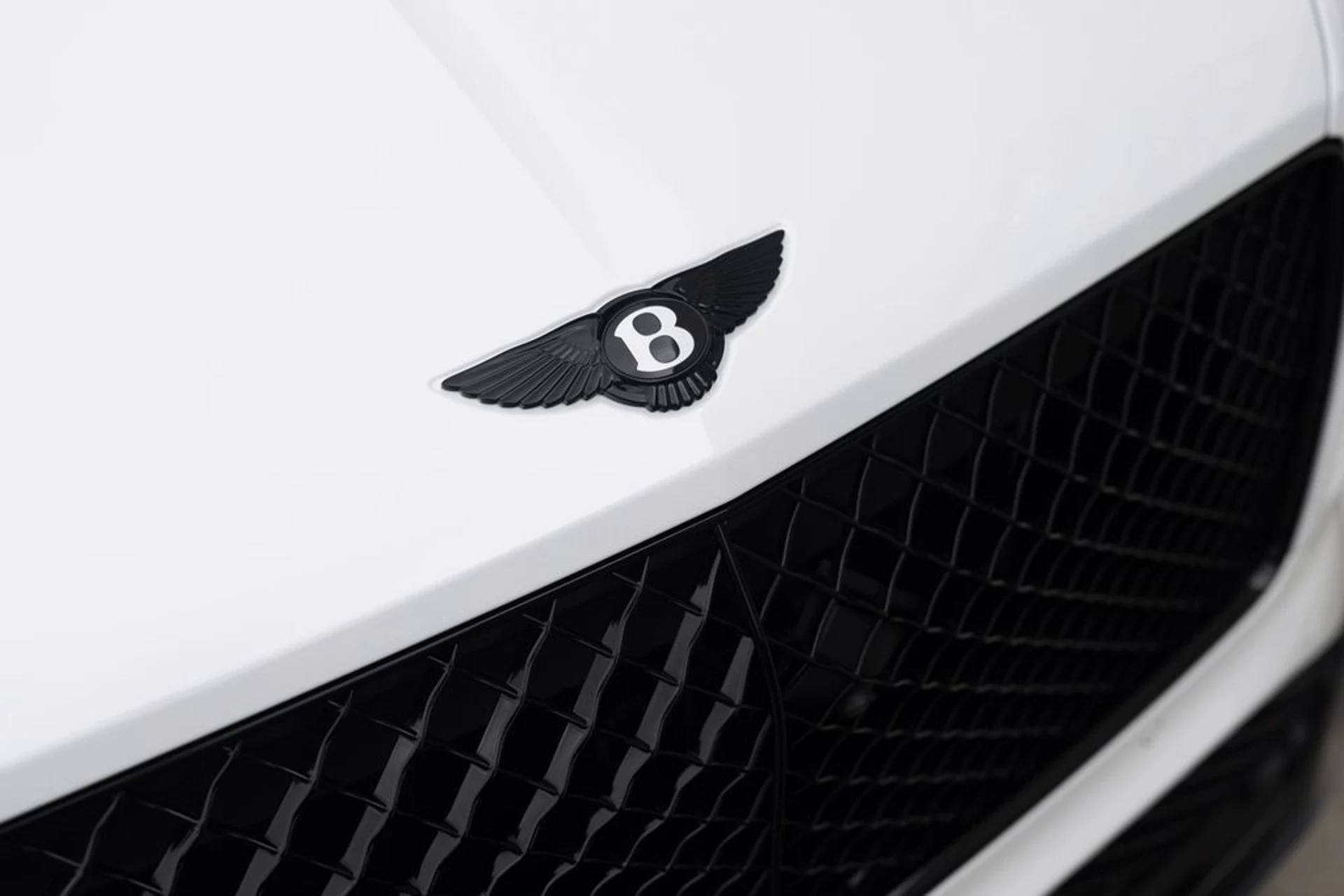 mph011_908009114_04ac73ae94ab2daa33faac3ebf372287x_26a16a0e26