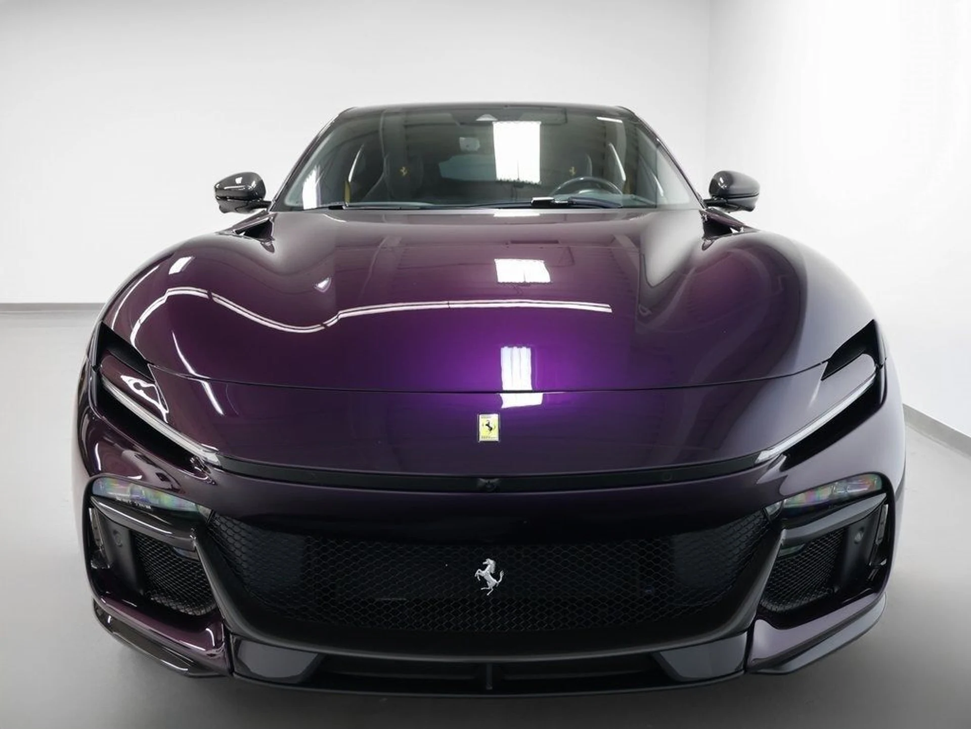 mph011_925772934_12_e94772838e