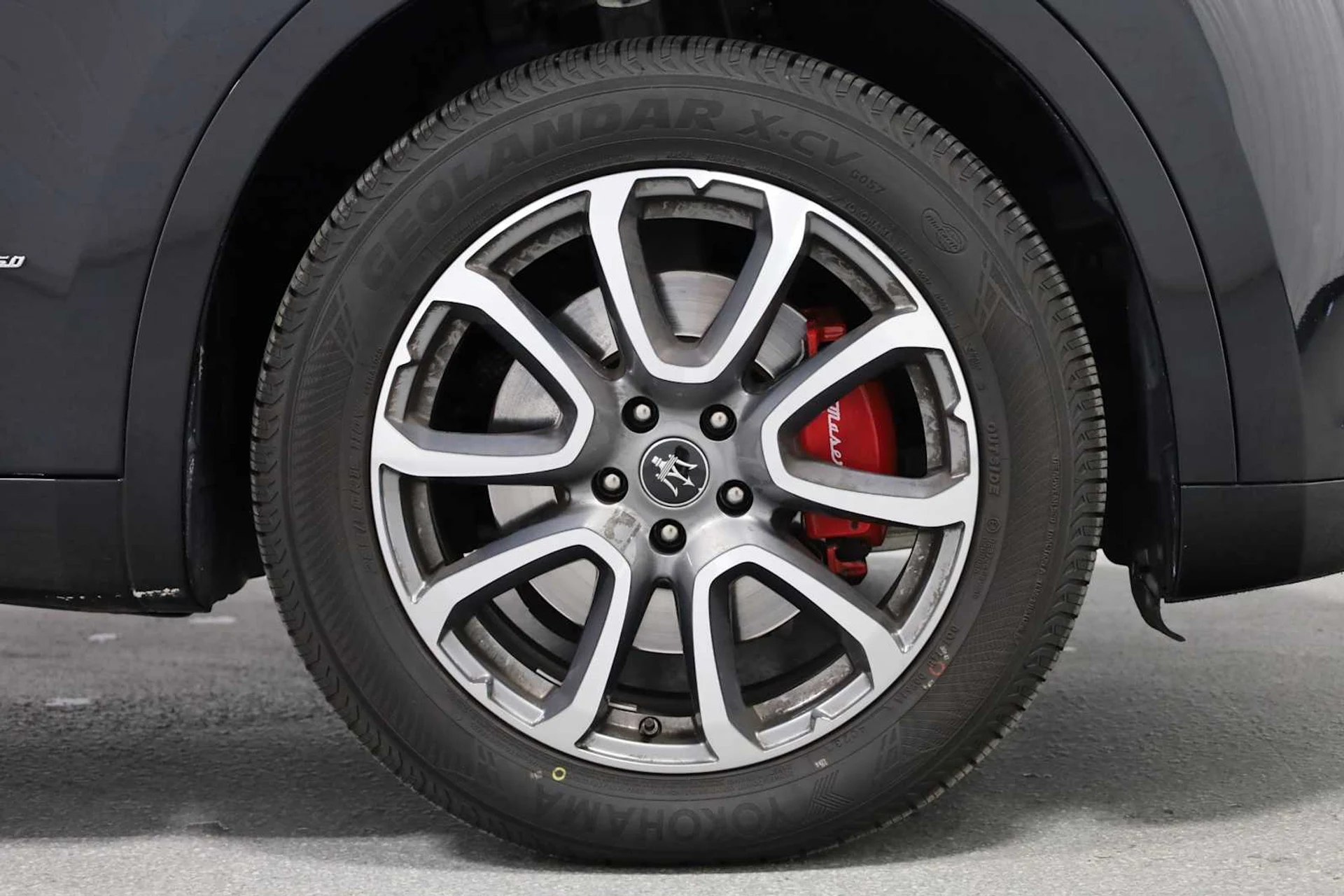 mph012_1003447008_6808354babc05a1e157febda4d9b26e8_8630037421