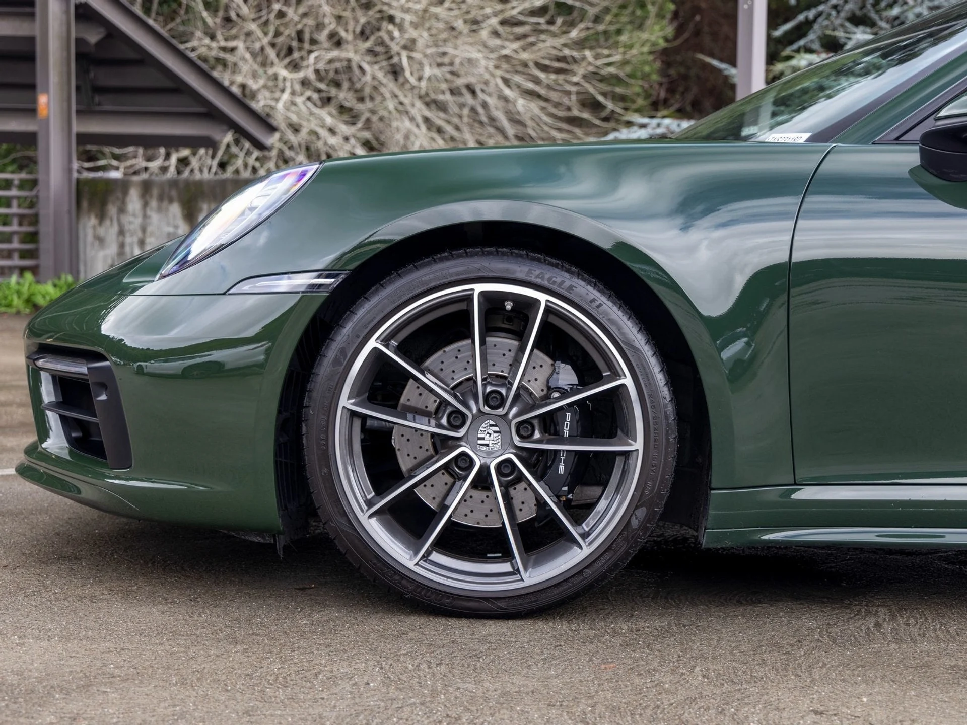 mph012_111615859_13_ff43b9bbfe