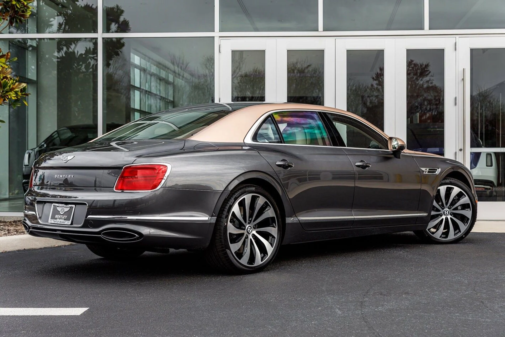 mph012_1143669898_a71ee9d018fc736161b4d0dcc2277245x_69b9336ea8