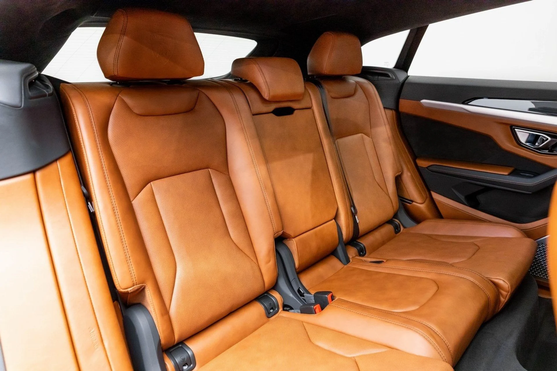 mph012_1175377350_13_a3e1d97d4f