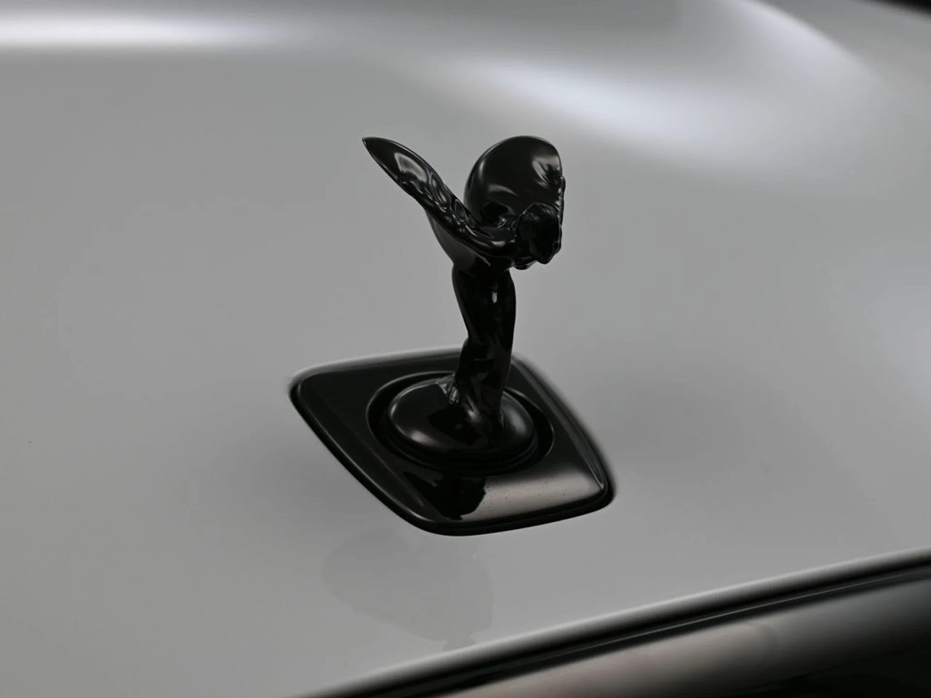 mph012_1177095918_30343d44_8d1d_45cc_9cd6_c7263ec74966_8dee07cb73