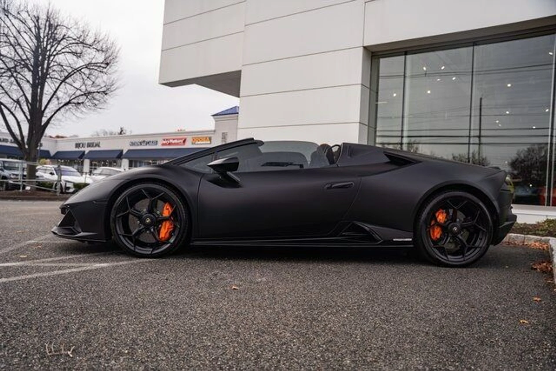 mph012_1191666710_ad93ff5d14e1de2085ed4614ad40f172_1335fe0e46