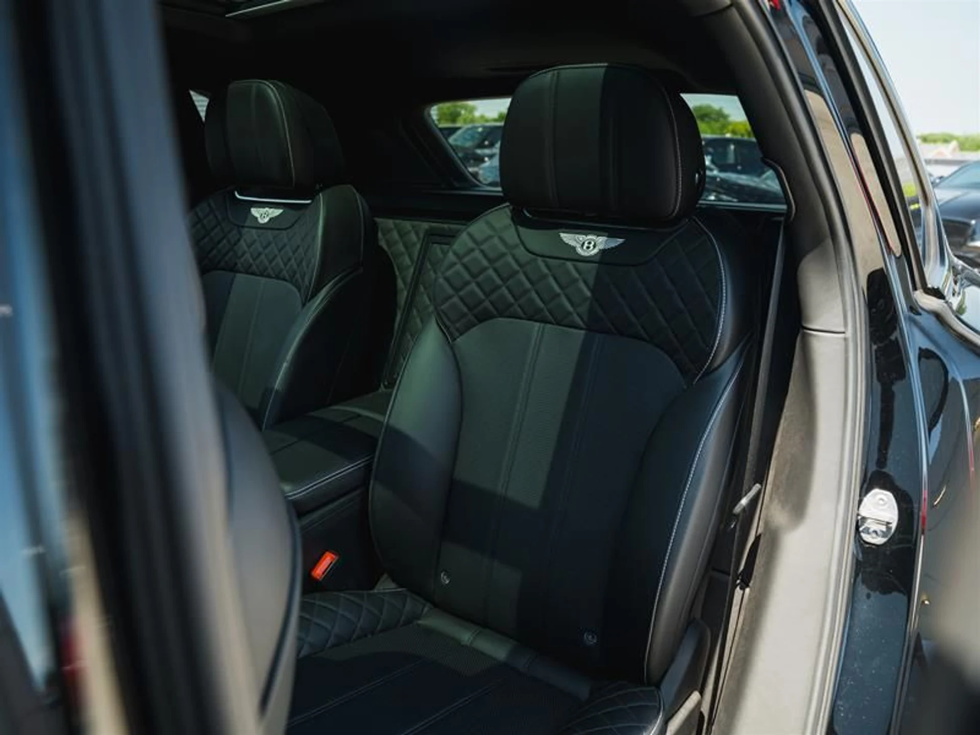 mph012_1199555469_jvidpruv_d9c92437be