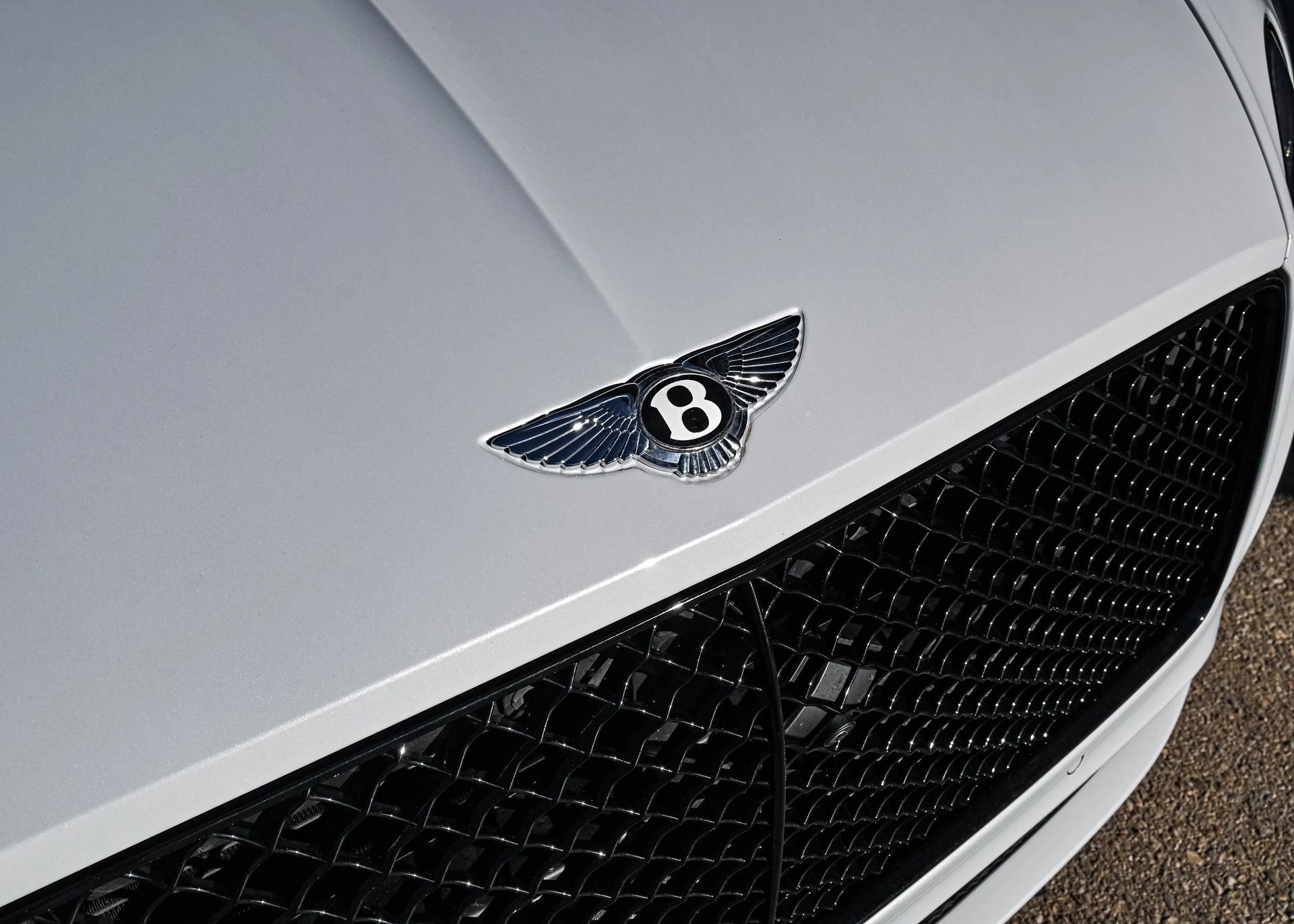 mph012_1331165775_7e5644a4_c32e_41a9_aadd_2bfbb01651ed_7c3c9ad055