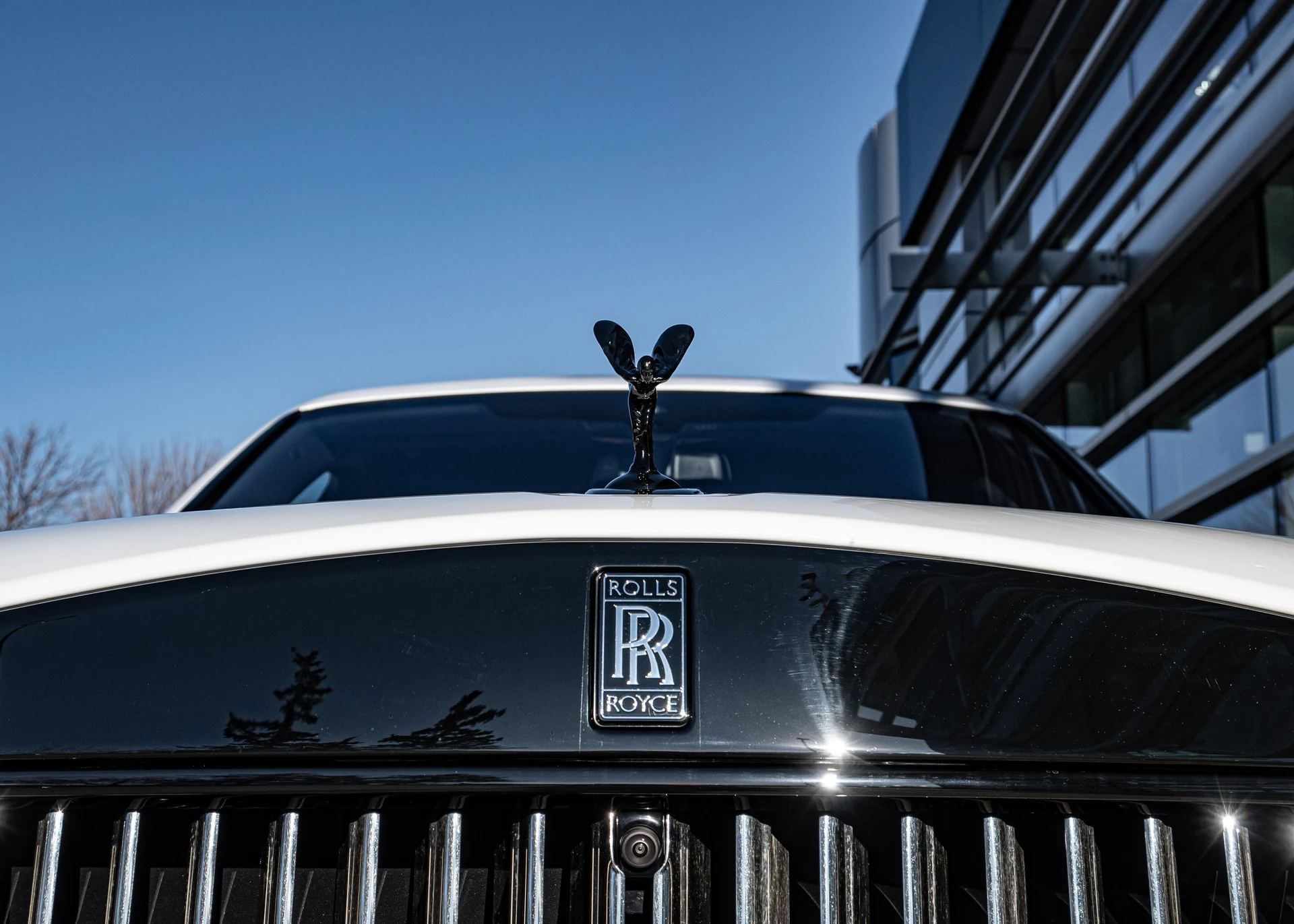 mph012_1505496645_68c087b9_525b_4b89_ab48_26338a1a821b_9590e7d50c