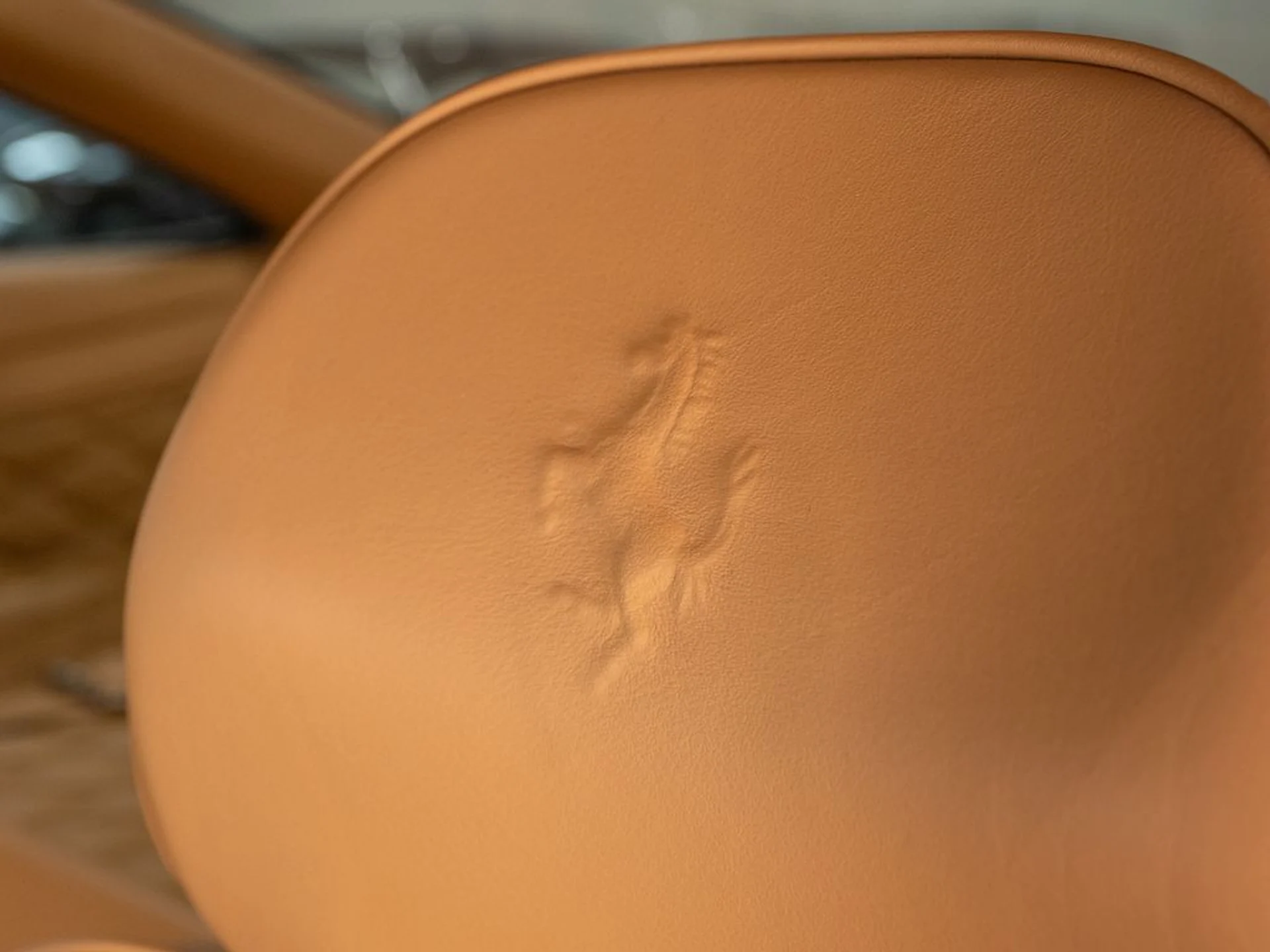 mph012_1546413388_78c9f754_e85d_47e2_9a5a_53d08ab70718_c95c65a96b