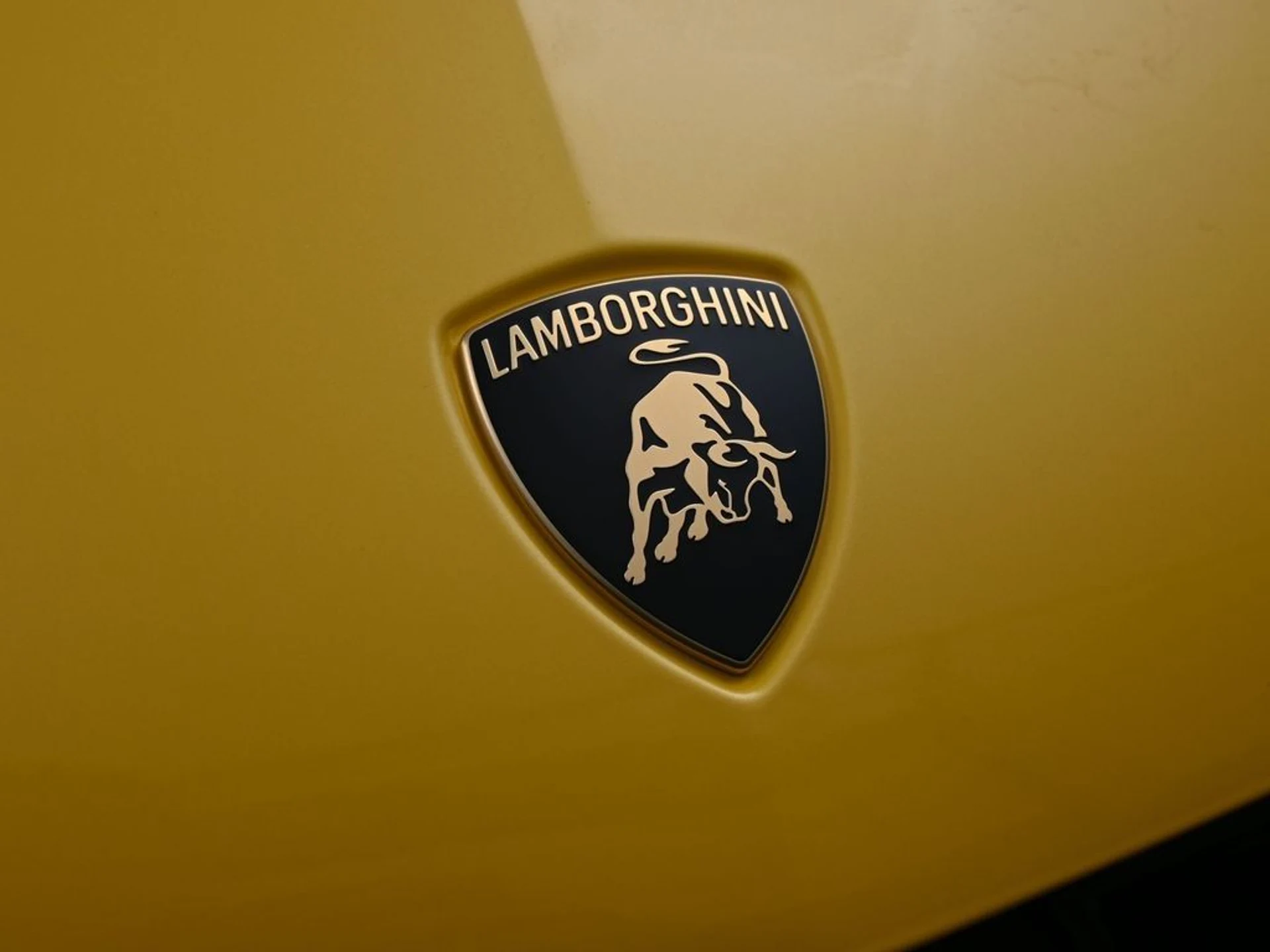 mph012_1626221263_327c6015d5e5280cf74da0569ada66b1_9310834db6