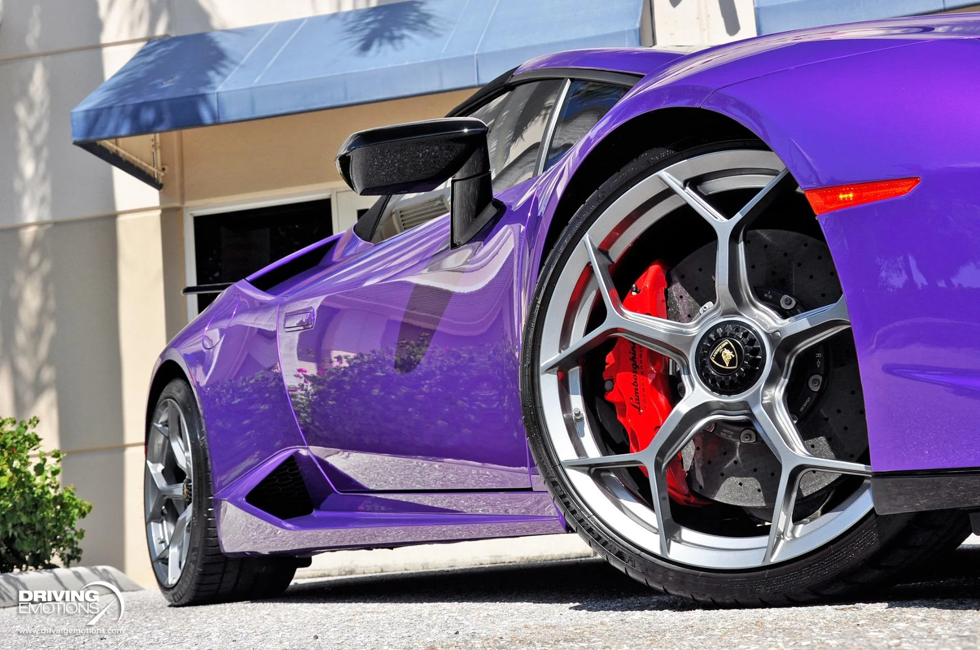 mph012_1688550141_863_p13_l_c5ca7103bb