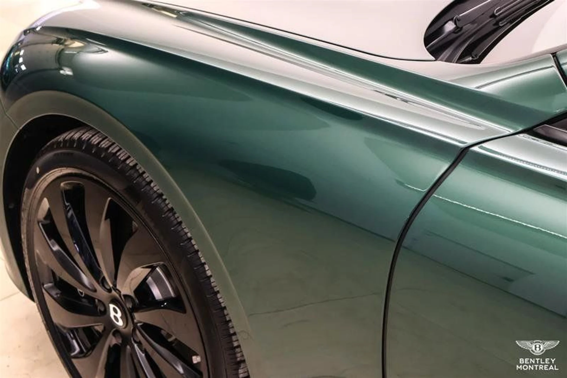 mph012_1728304182_38026591_08440_11489628_1616640264_061fd908f0