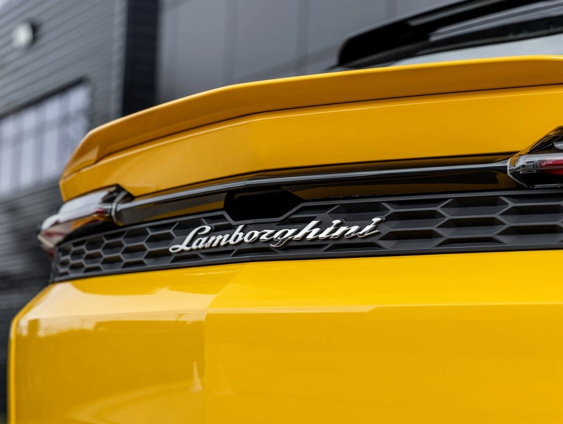 mph012_1780963891_13_ff1caeb1c6