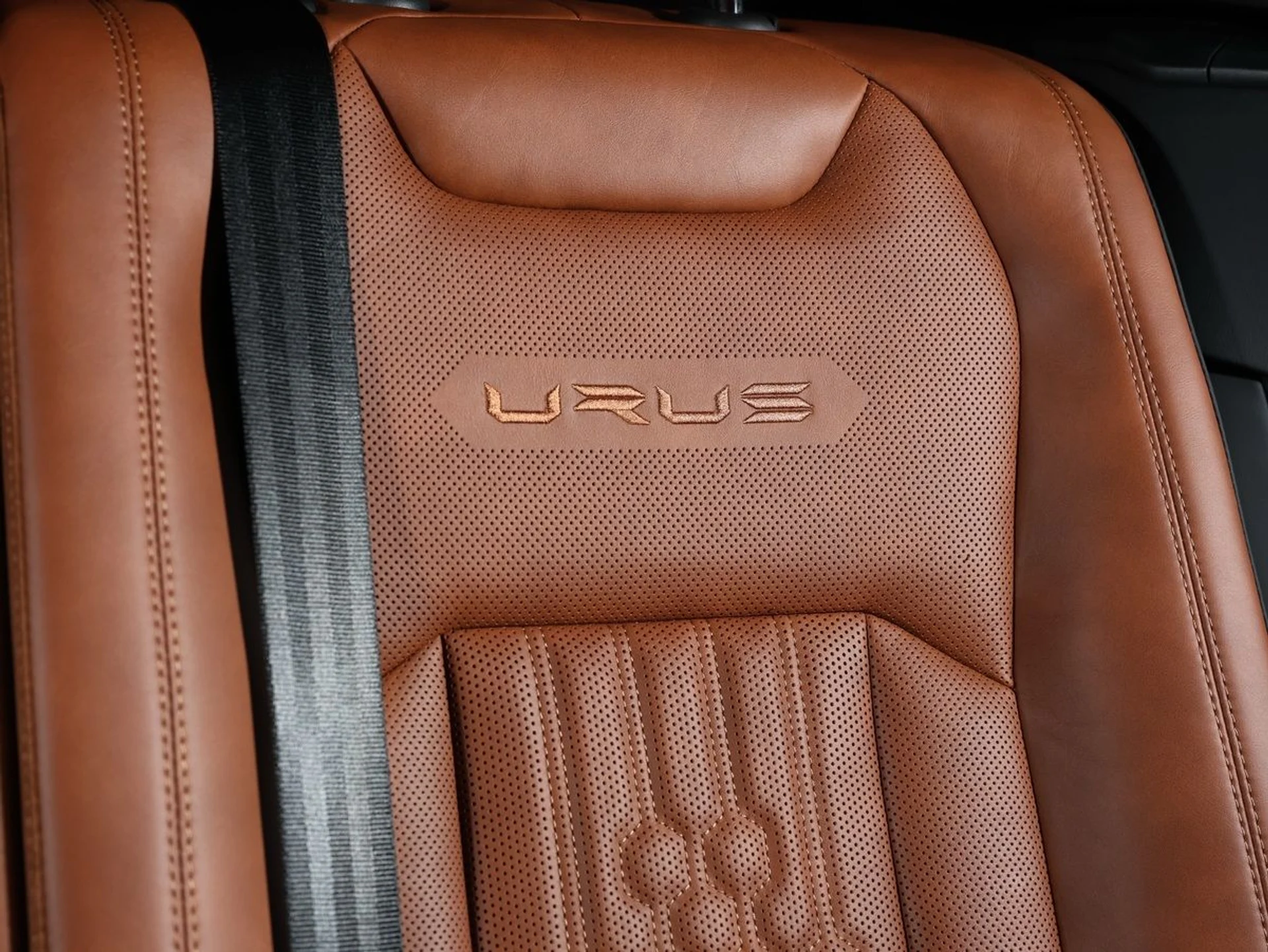 mph012_1789181737_c2d9s4gmy0z8gi5if3mi4ck88j5p_aa4833292c