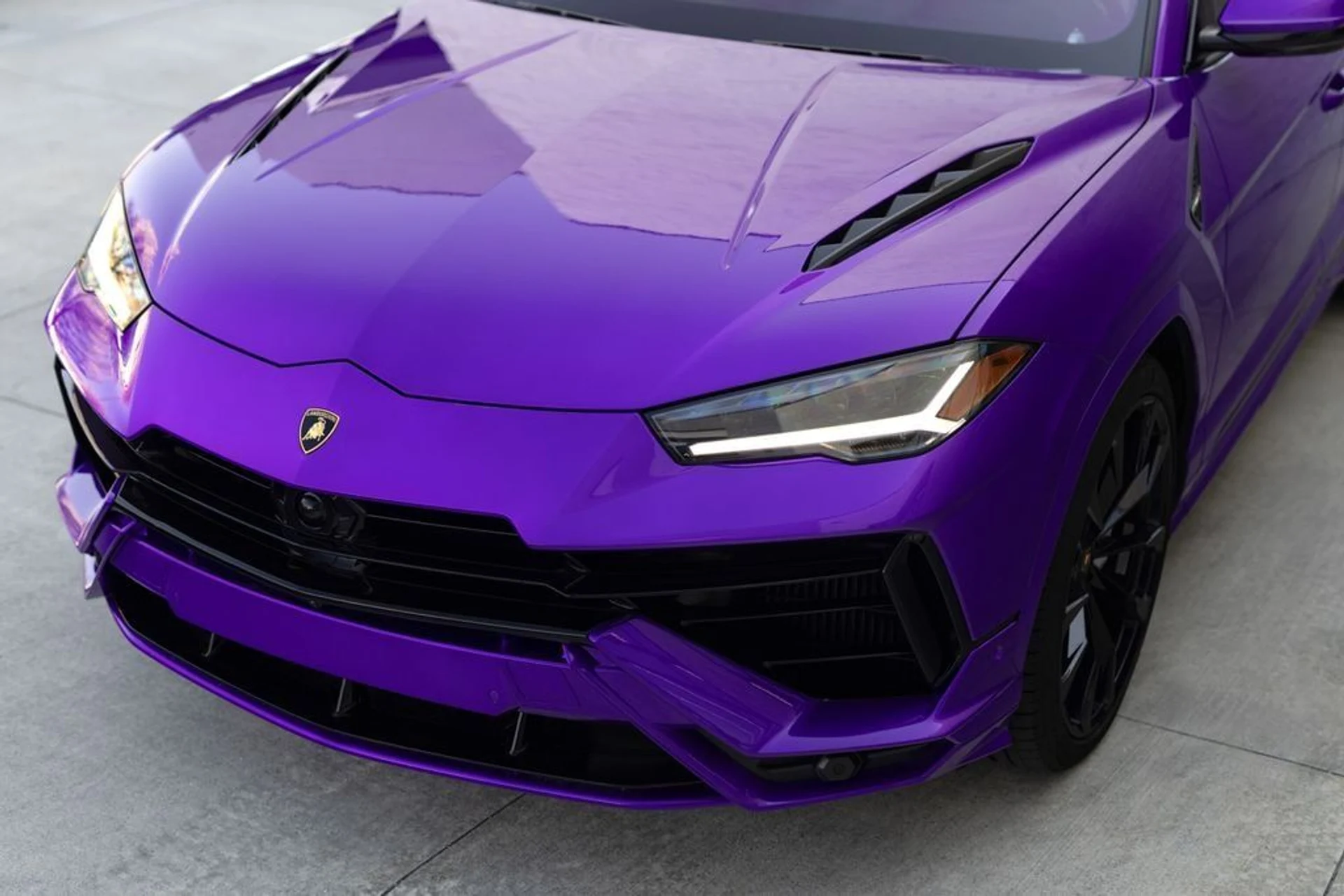 mph012_1933757354_bd5b56225488c35c8a46d8d37fd2d820x_7e6e2da9eb