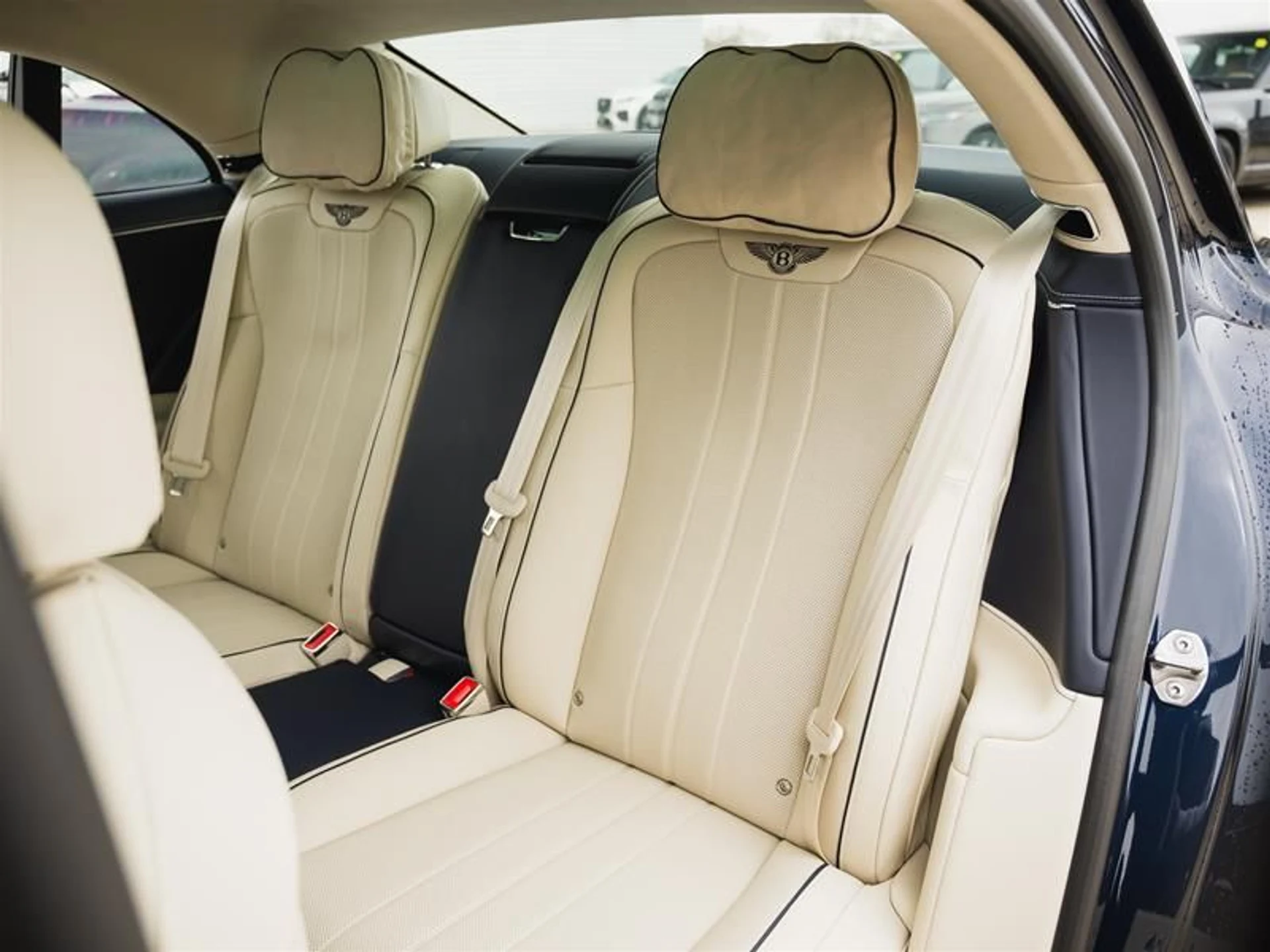 mph012_1995462471_hcctqdlt_d4c8252b5f