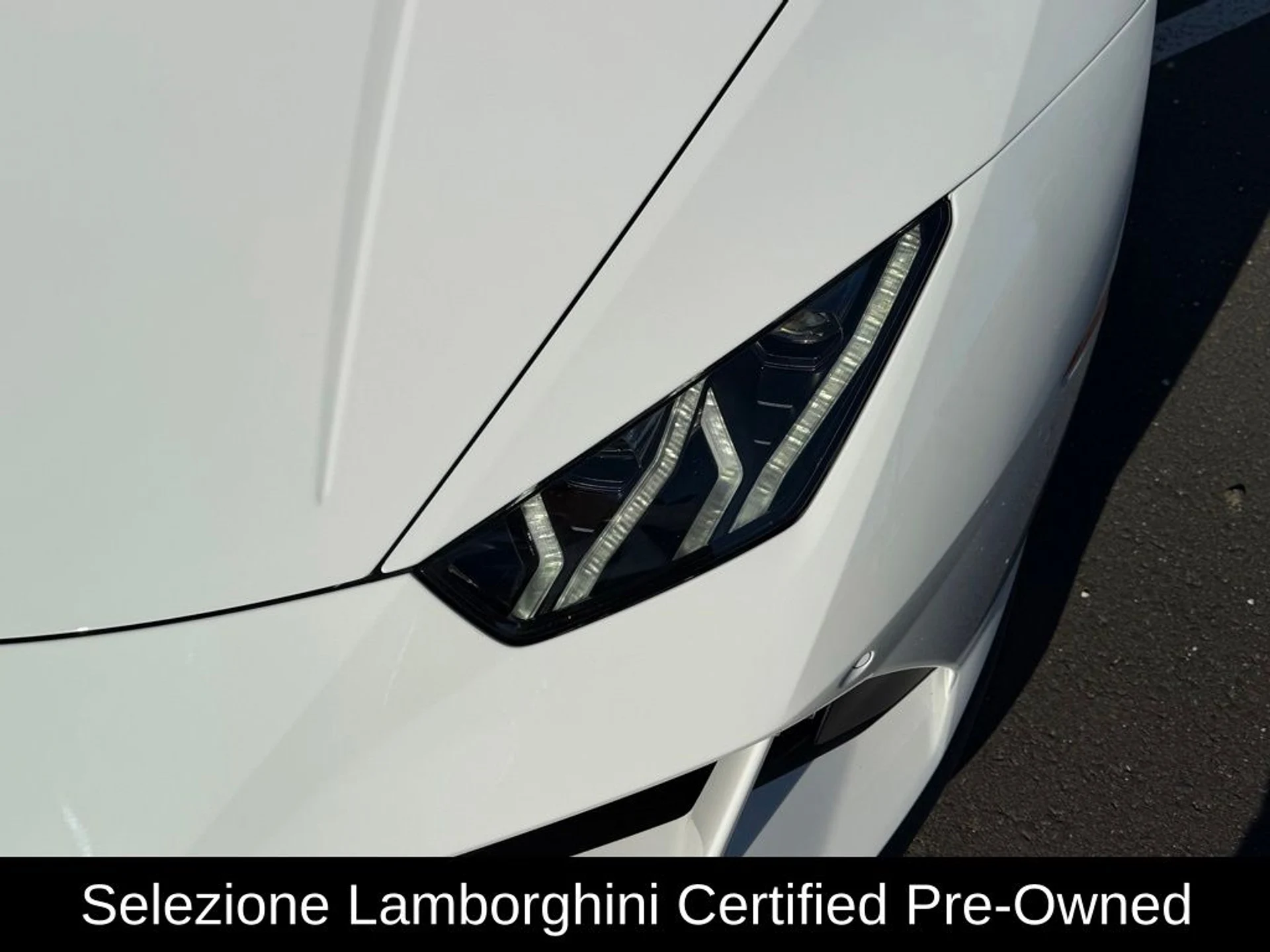 mph012_2040686702_ed95b597d4220634e3406ca0f995433fx_caf15d8e47