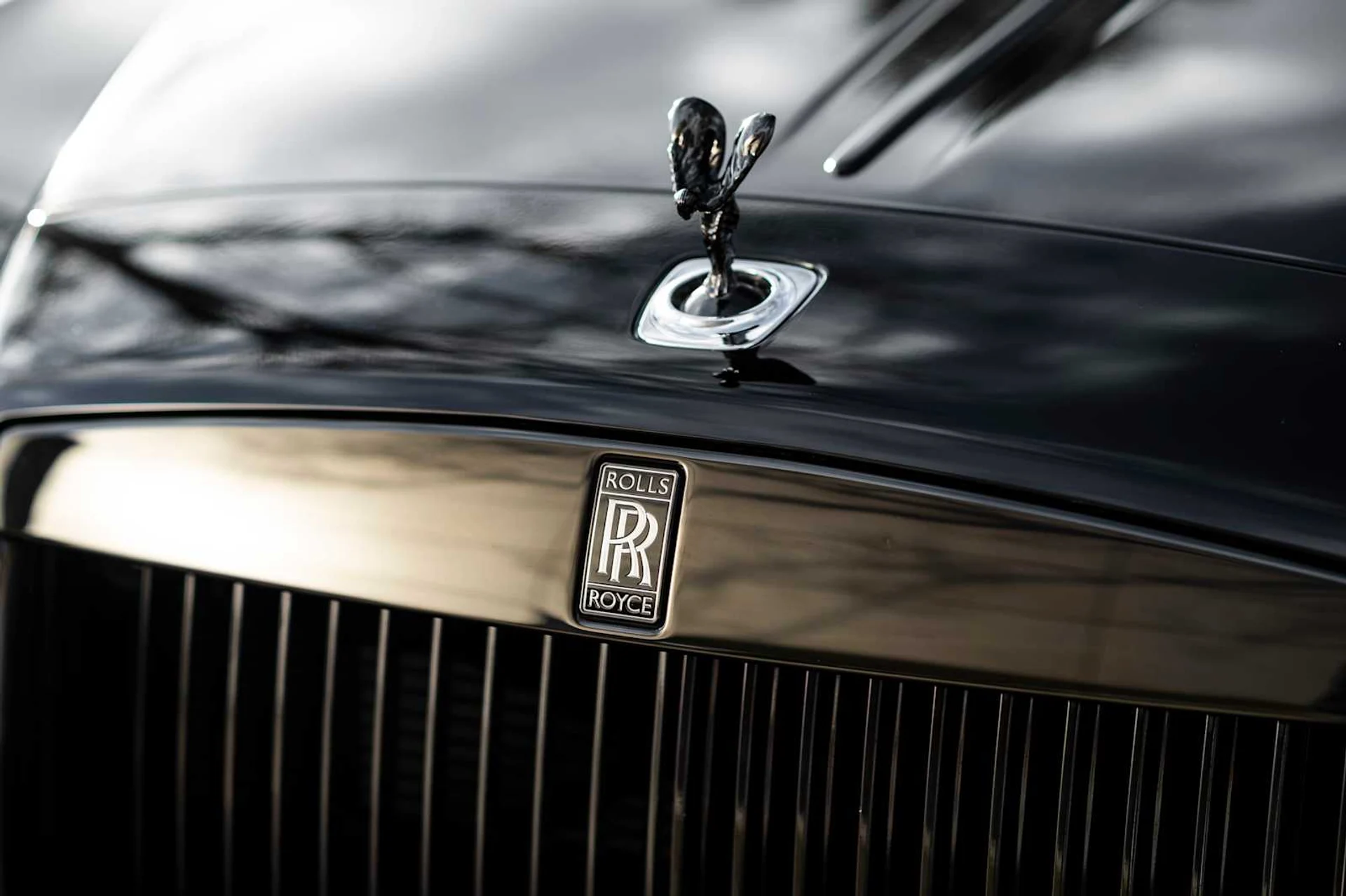 mph012_2078839202_46ade7d2b2112c06a4ae2150cef9b4b8x_0fe24a6e40