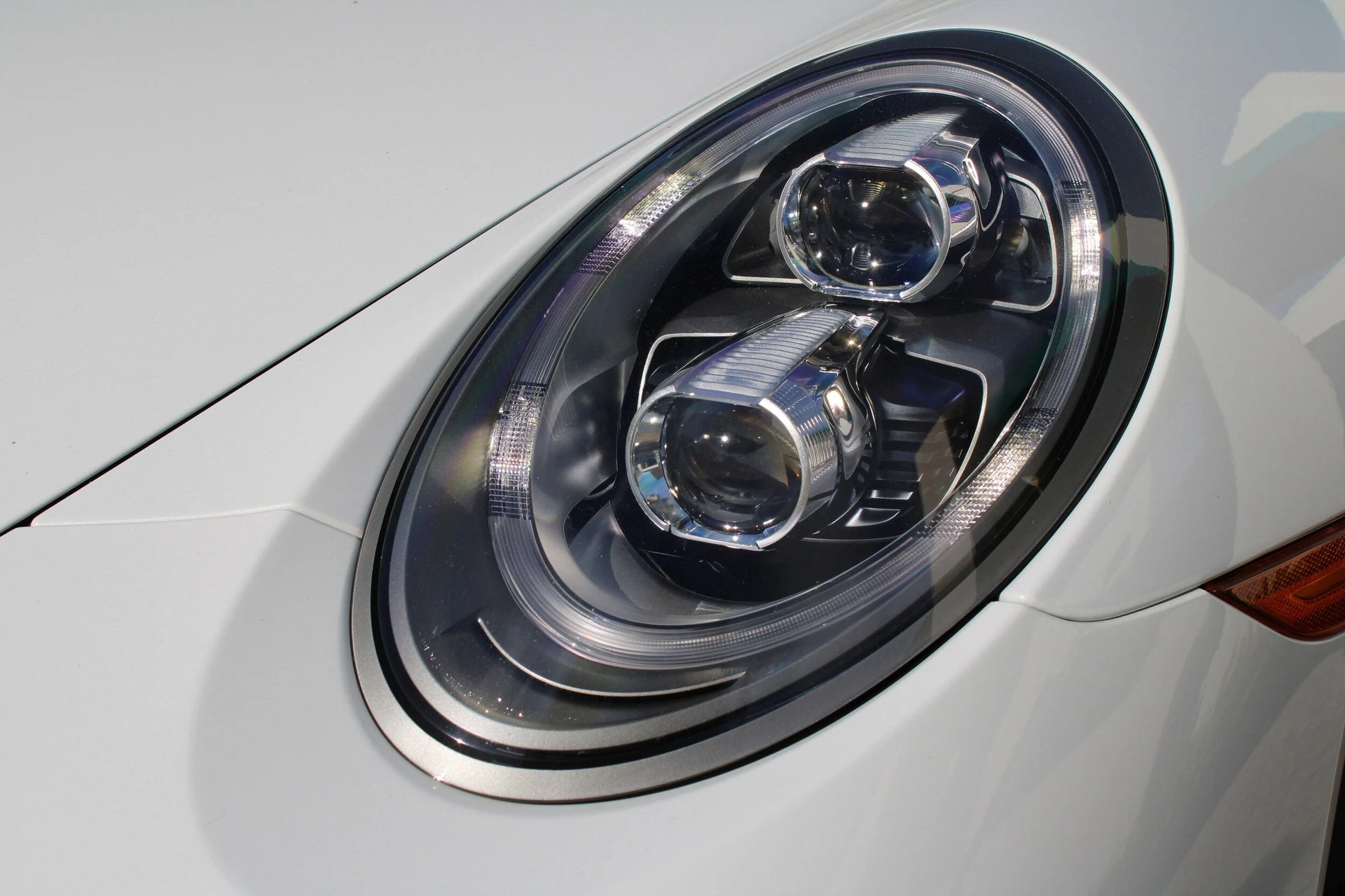 mph012_2097059833_a115c0ab21707c9383b6cc17ad1777f4x_699e38a5f1