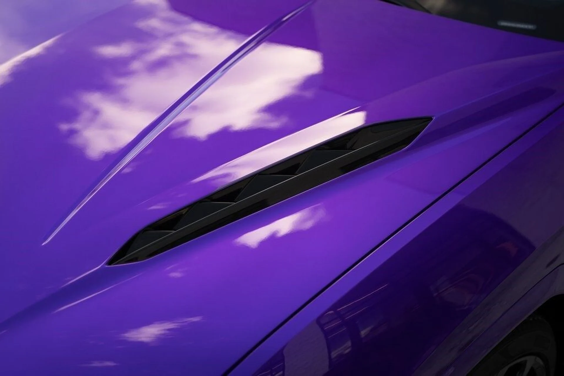 mph012_2106361533_b74007ea8d23dff9138fb419c0aaa856x_7d5a40ca10