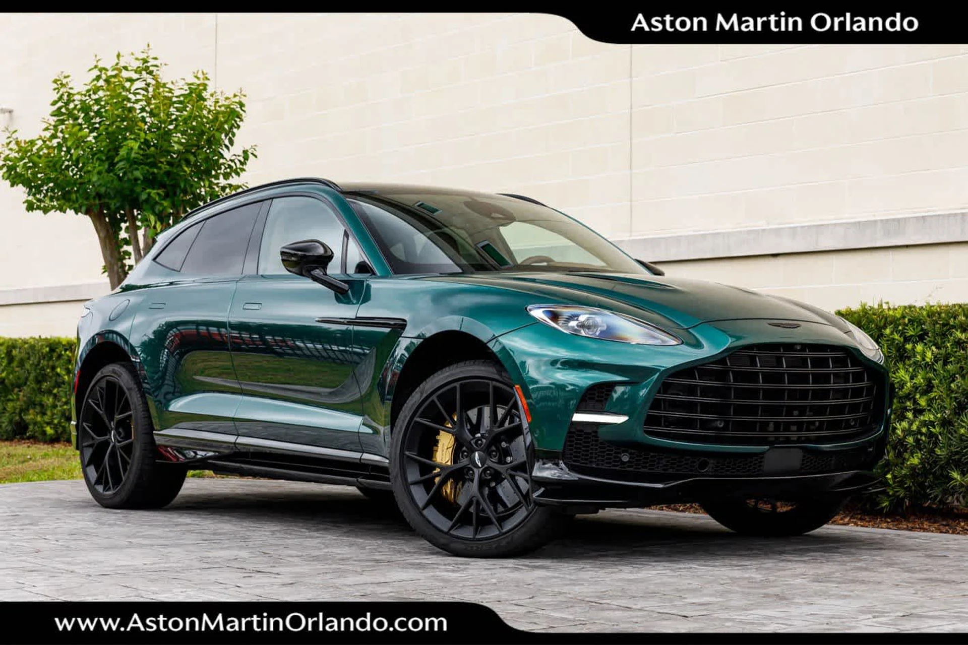 mph012_2122790282_13_6c1cb45a72