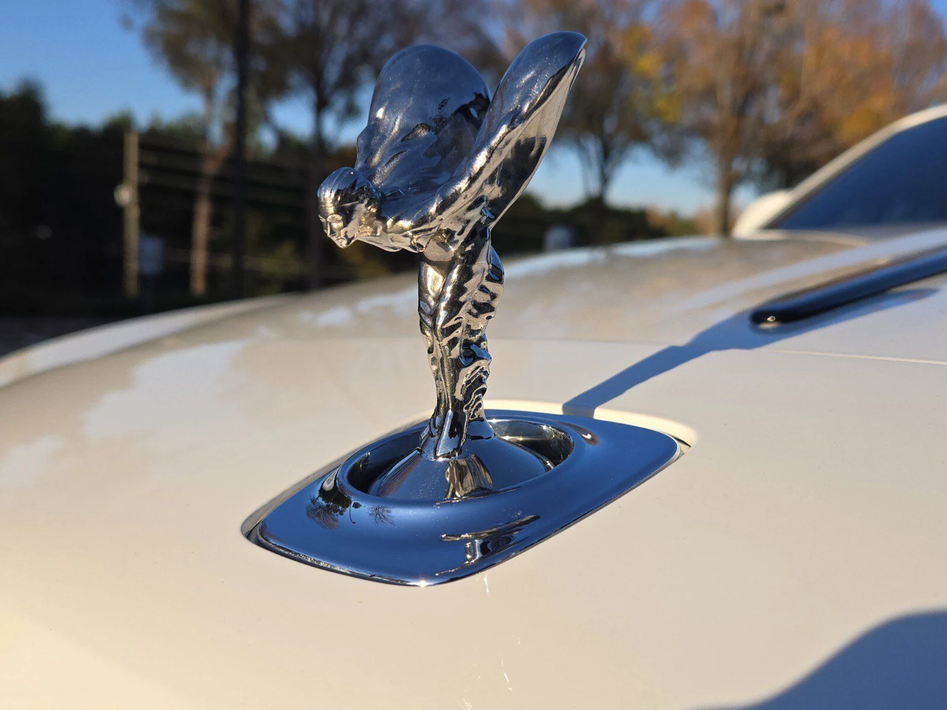 mph012_2136363286_c7c9ef721ab6005b542f30e02f289e6fx_c2cb21c1cd