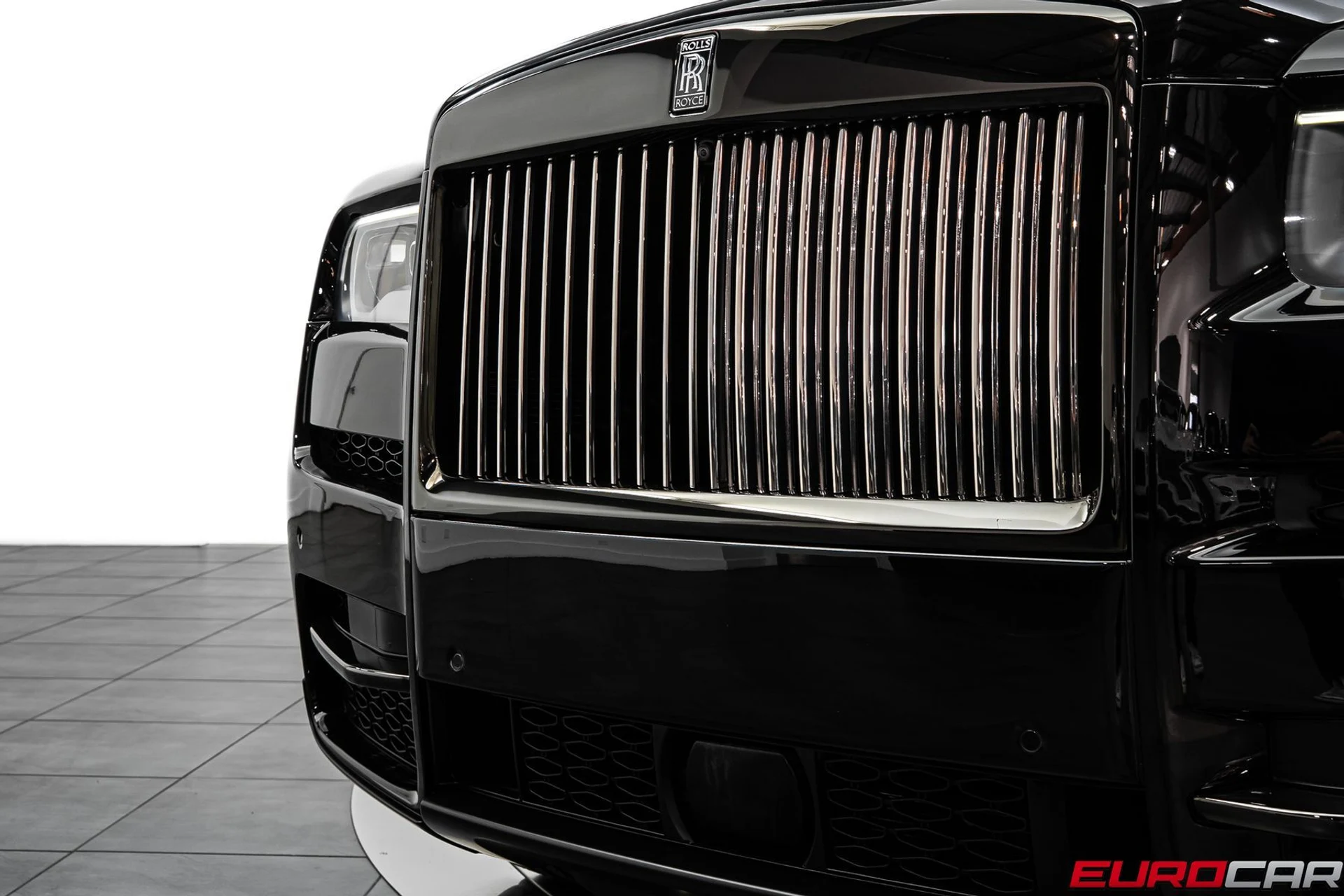 mph012_2278744401_f44fcc98_44b0_444d_a676_c5c770eb9a4c_30a449263d