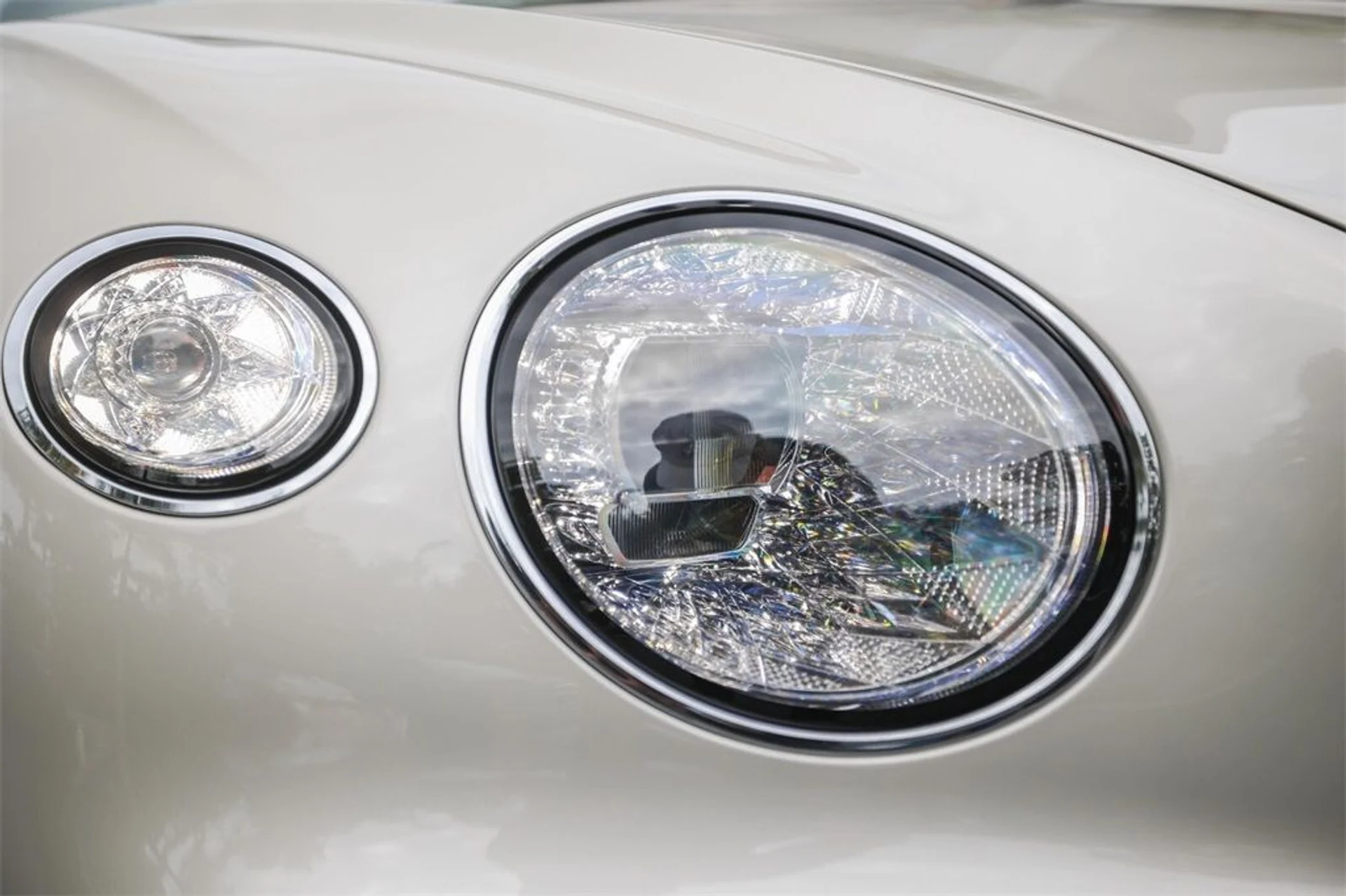 mph012_2337744546_e87034ebf5d61d1b332a748713e54eb7_c1ee45b8f5