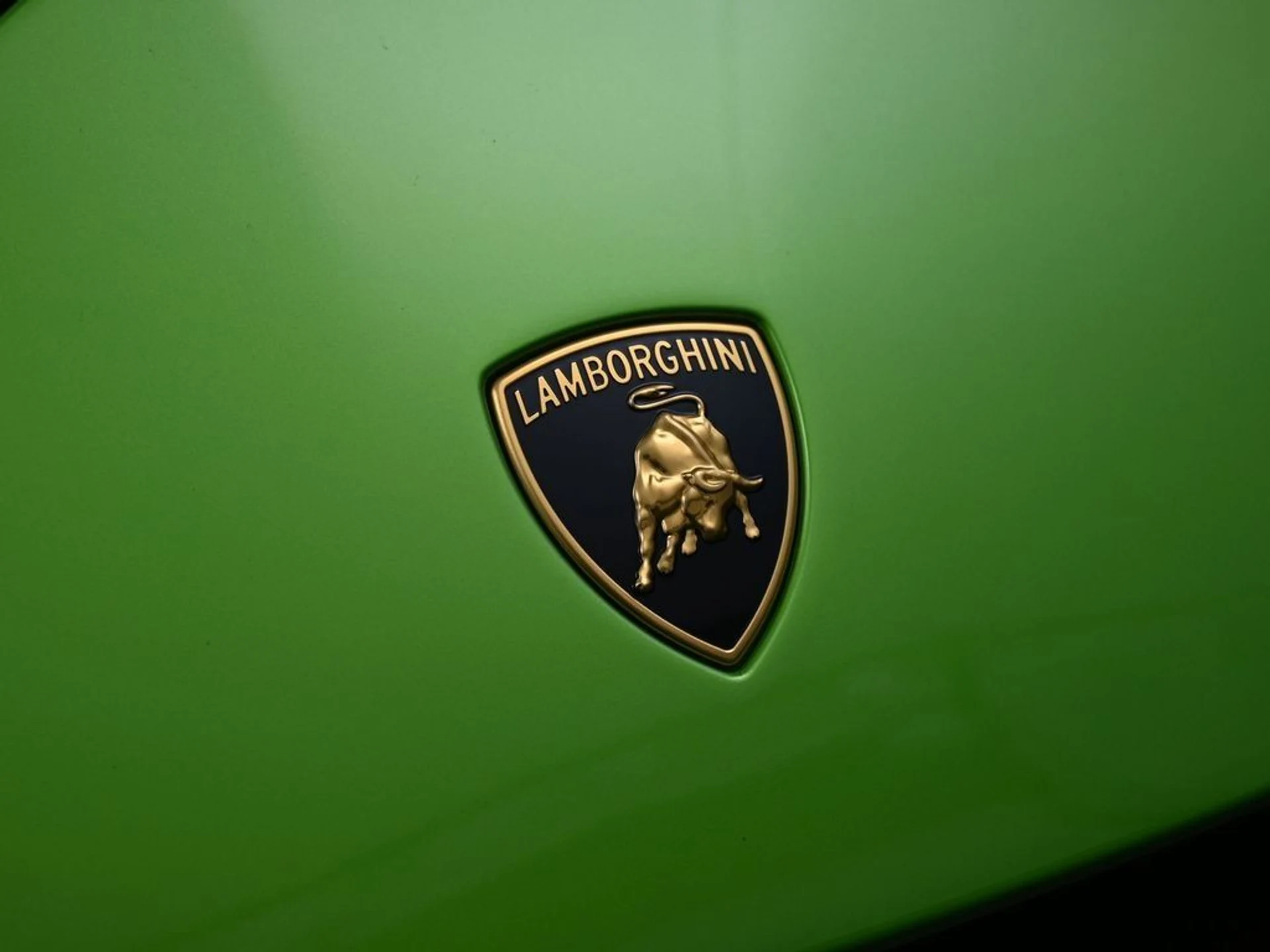 mph012_2372413301_image_12_41ac09b945